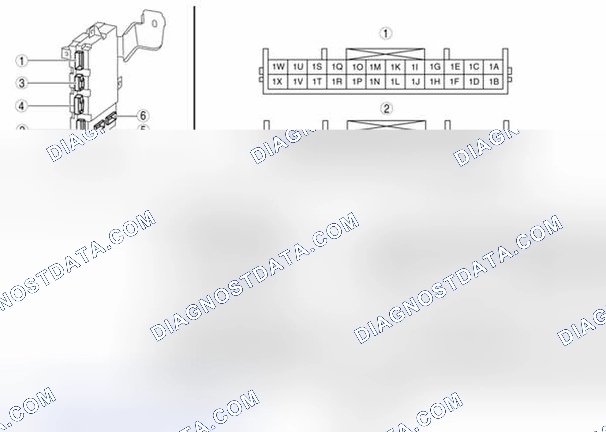 Scheme 2: Identifying BCM Connector Terminals