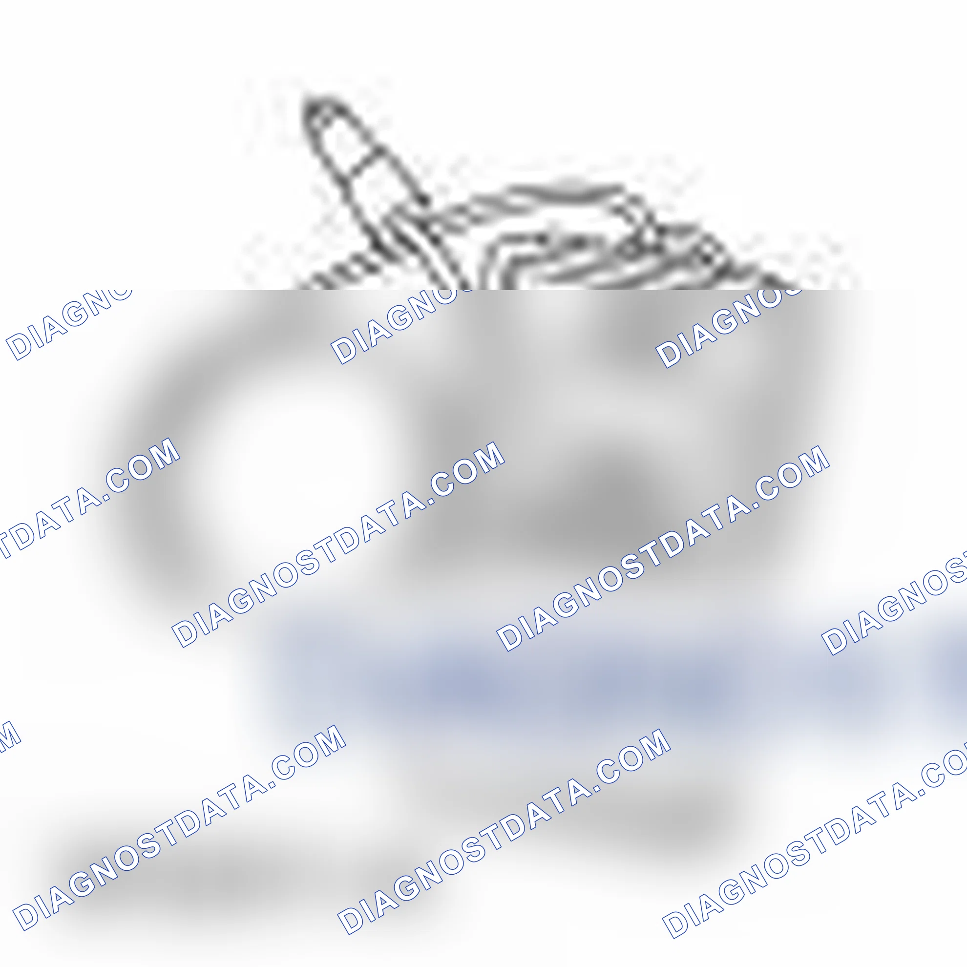 Scheme 1: Exhaust System