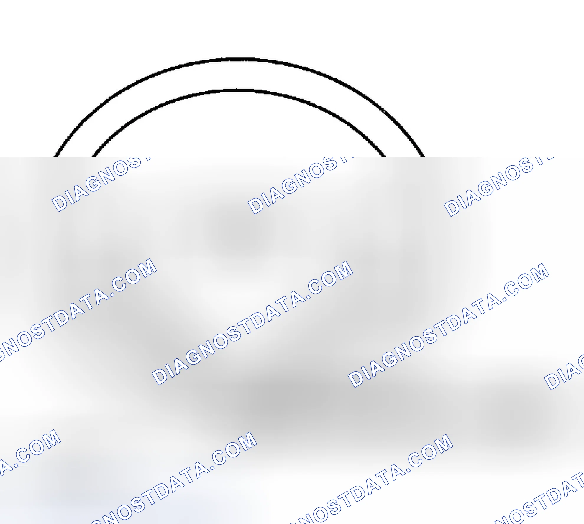 Scheme 13: CHECKING STATIONARY STEERING EFFORT