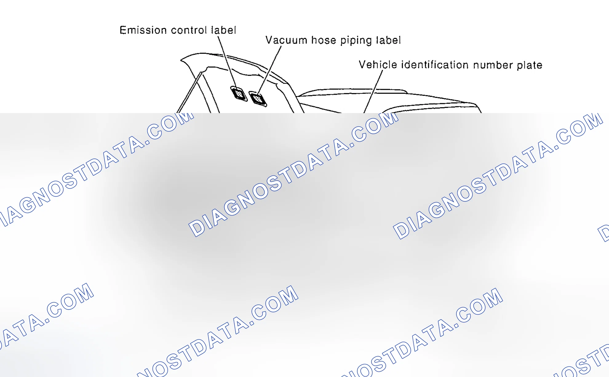 Scheme 1: IDENTIFICATION NUMBERS AND LABEL LOCATIONS