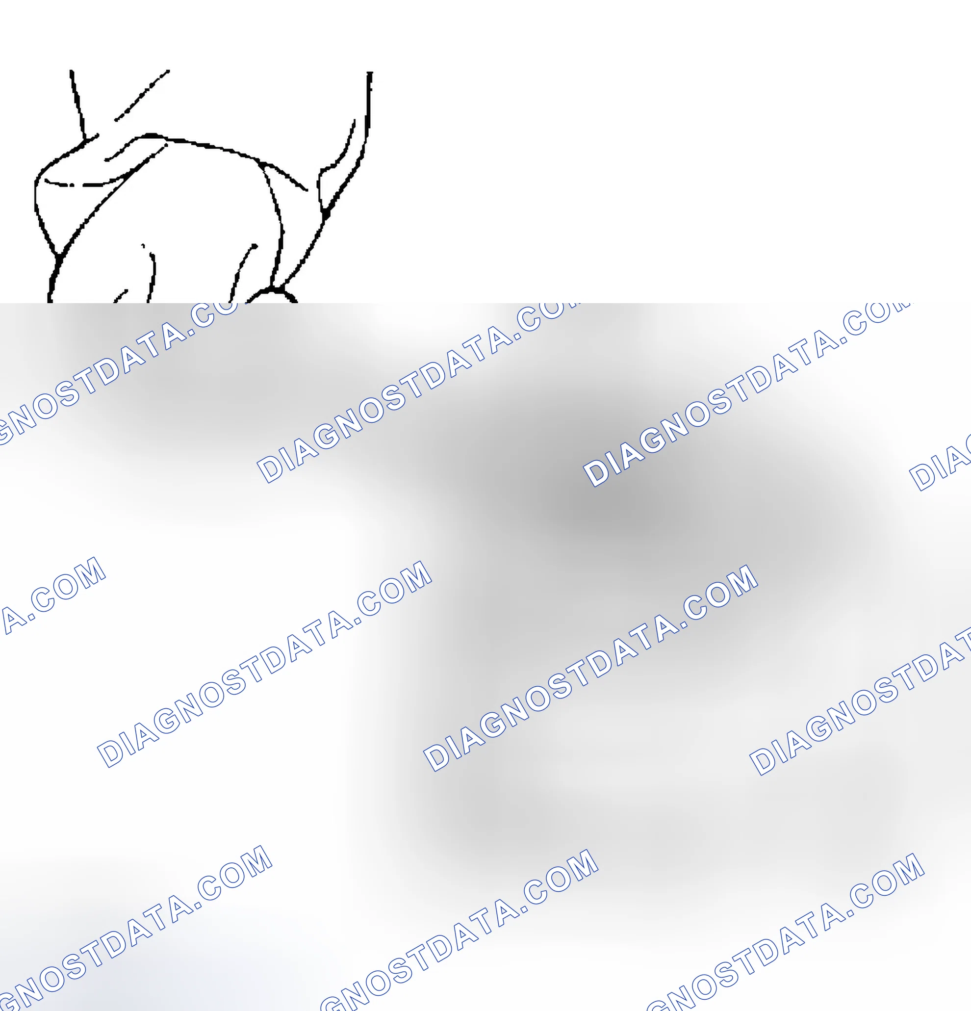 Scheme 10: DISASSEMBLY