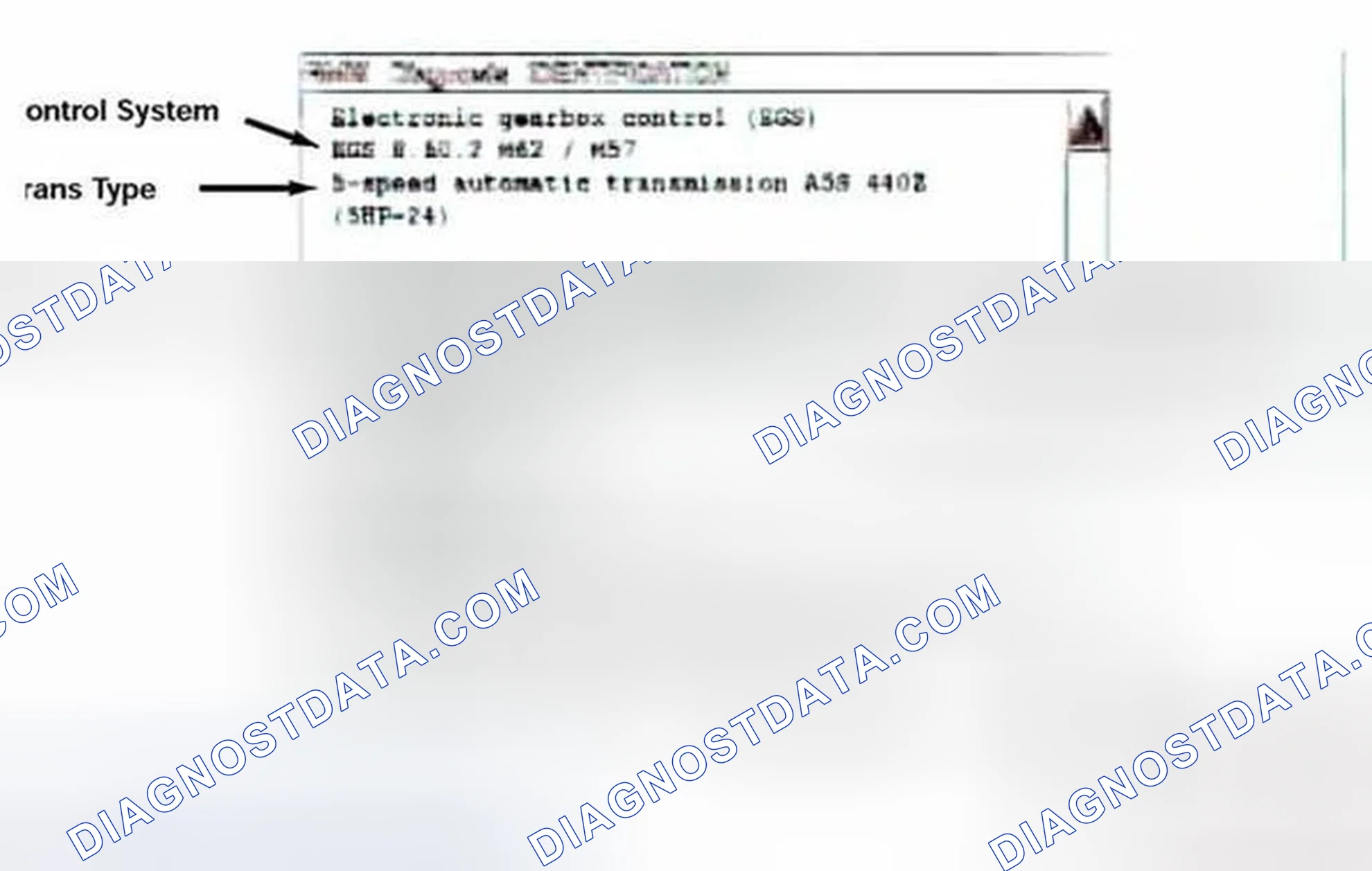 Scheme 378: Identification Page