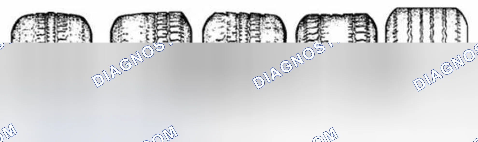 Scheme 10: Tire Wear