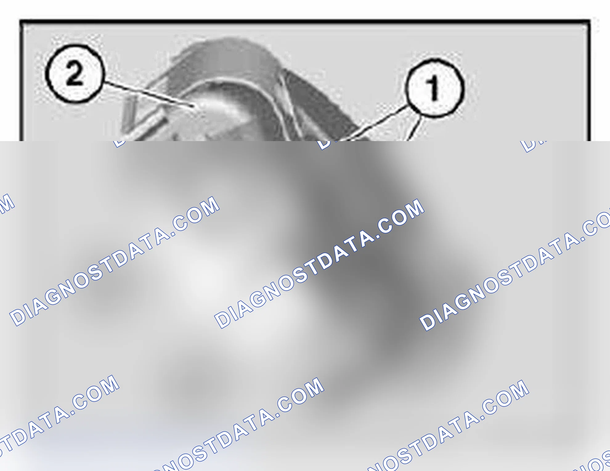 Scheme 205