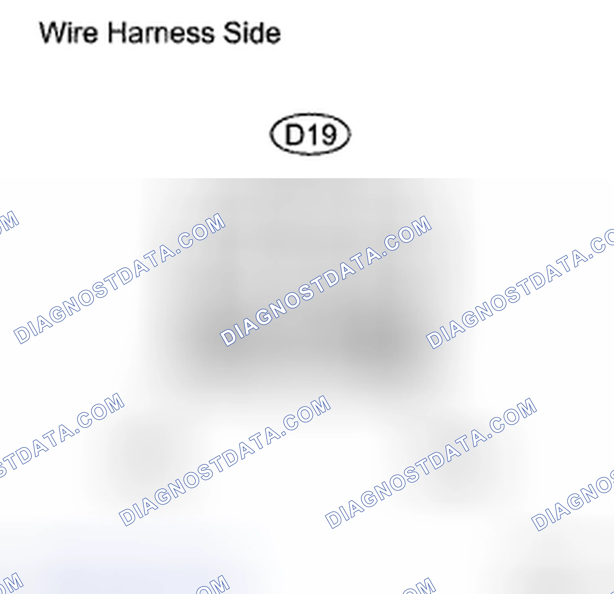 Scheme 5: INSPECTION PROCEDURE