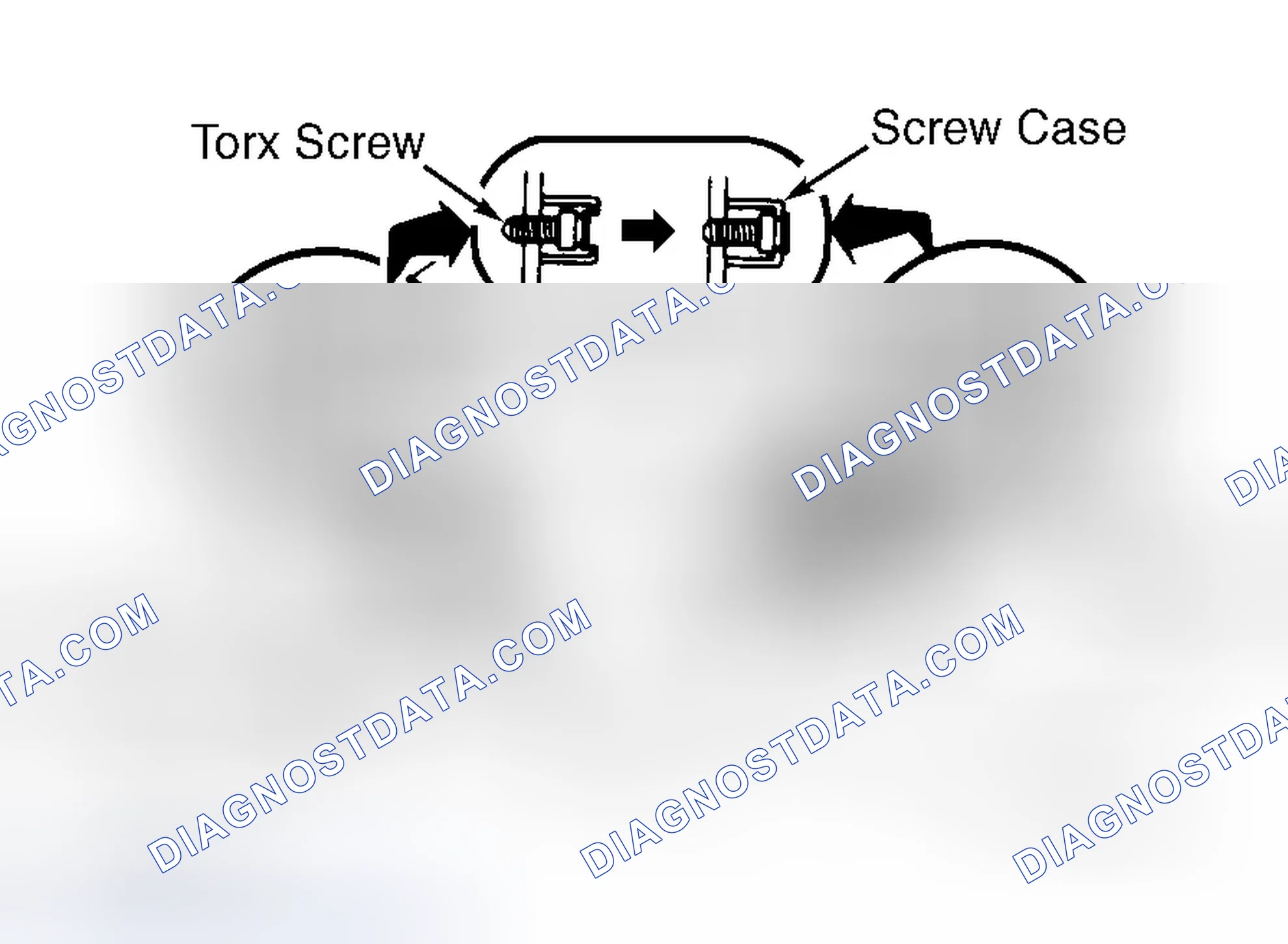 Scheme 5