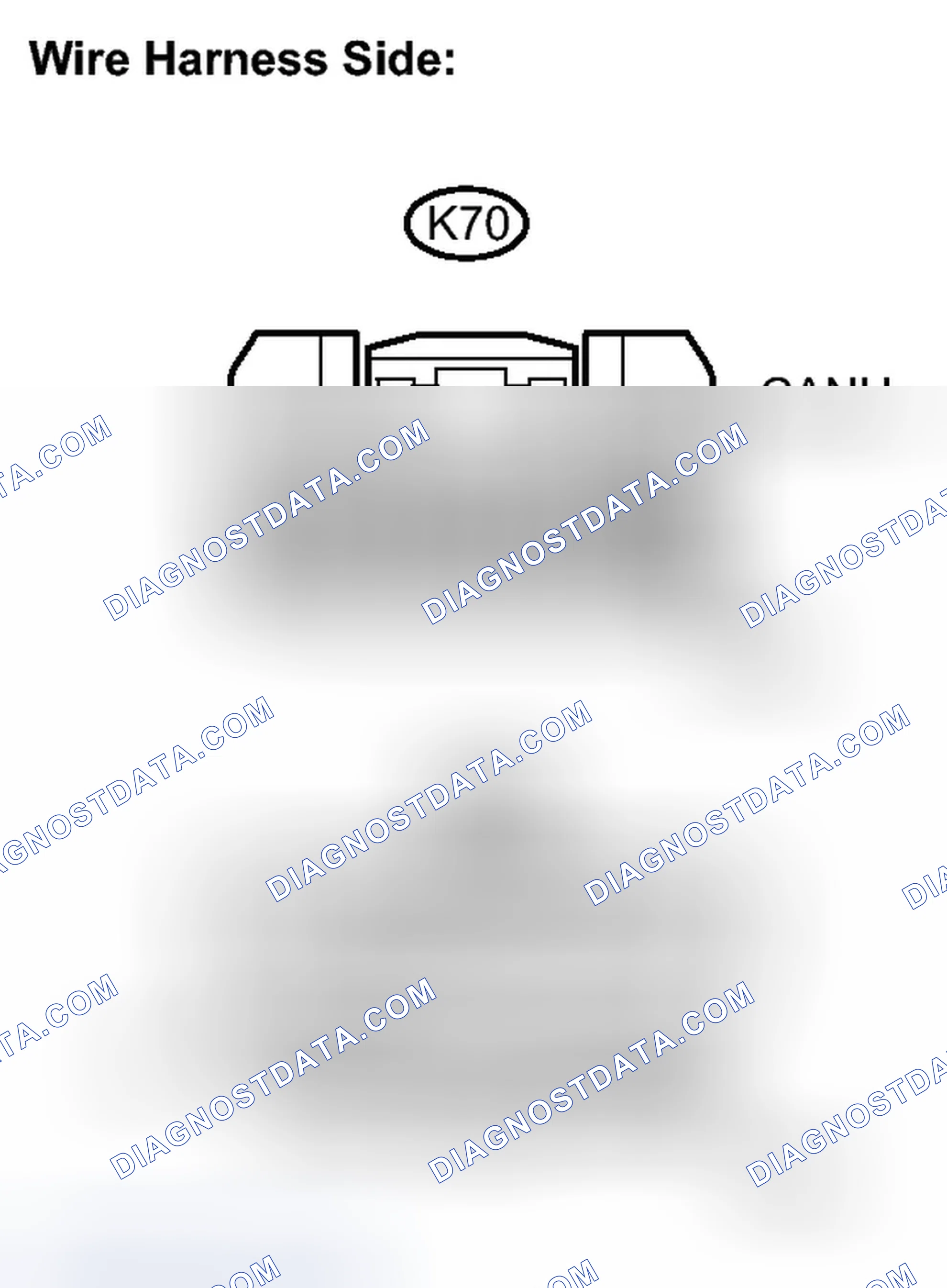 Scheme 289