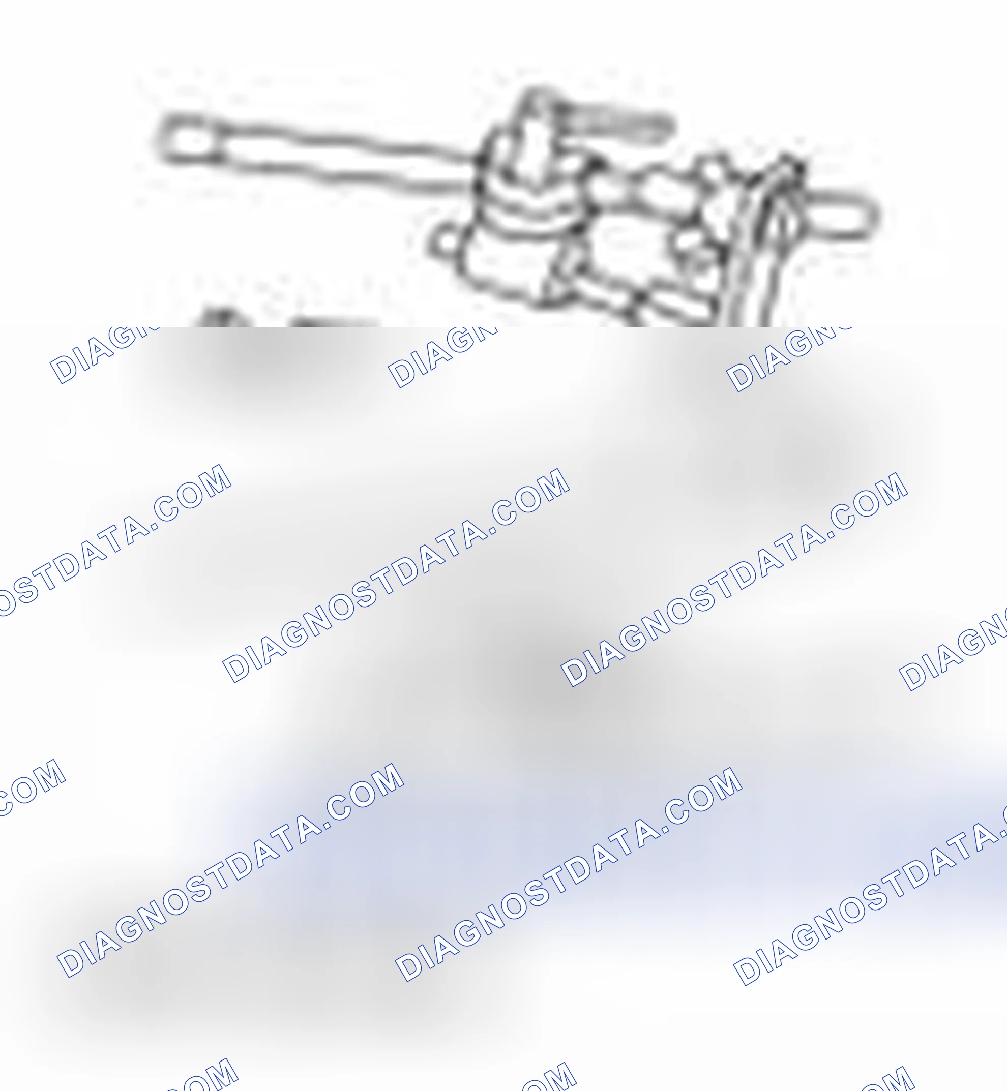 Scheme 2317: Special Tool(s)