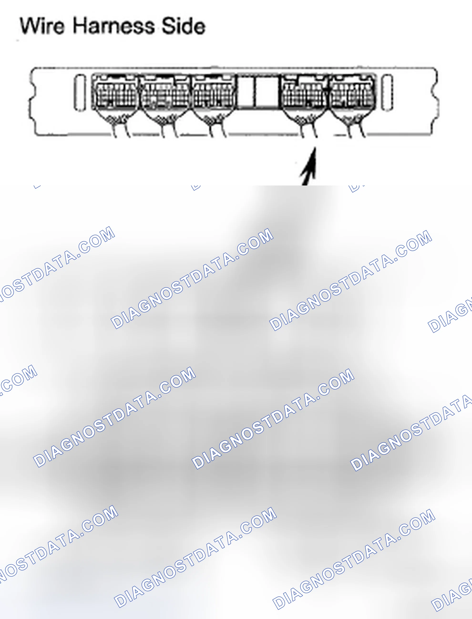 Scheme 5