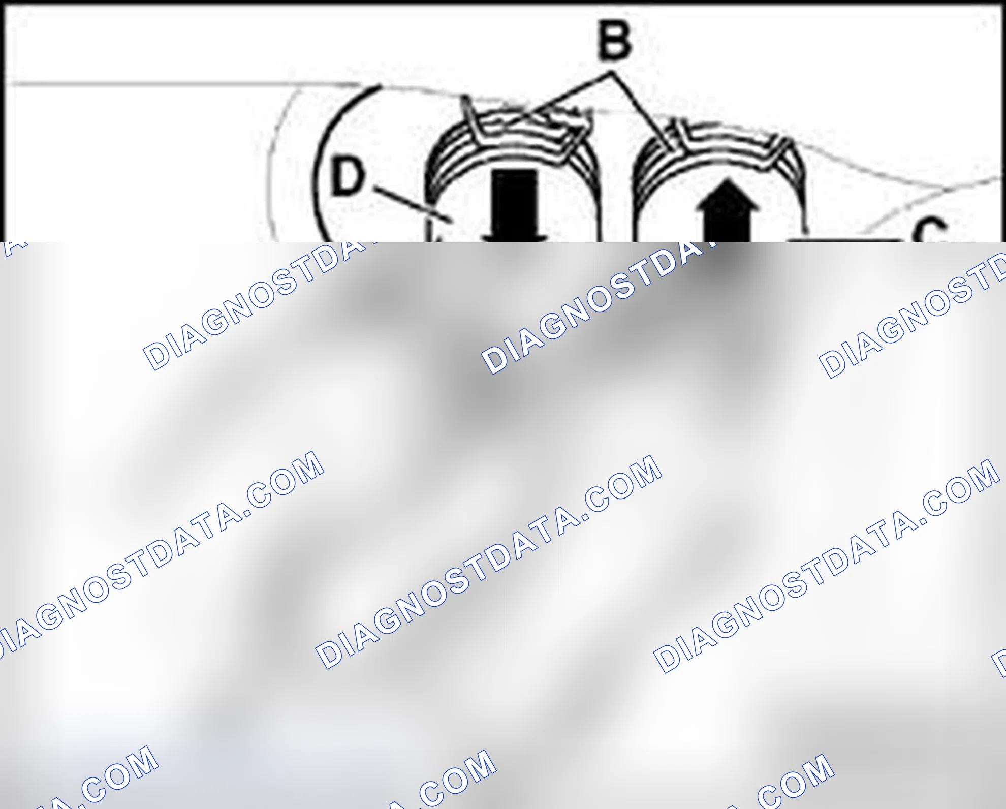 Scheme 65