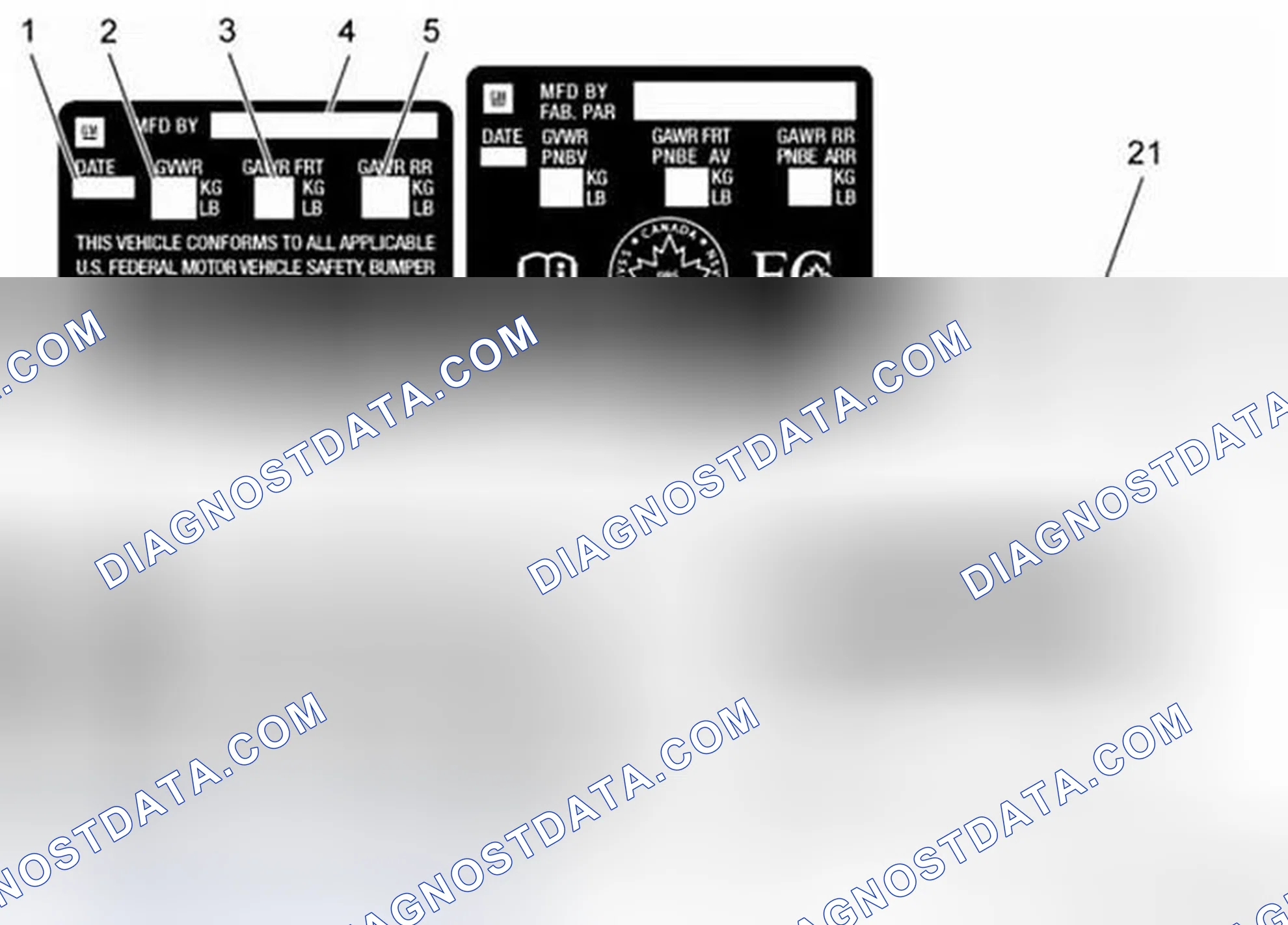 Scheme 18: Vehicle Certification, Tire Placard, Anti-Theft, and Service Parts ID Label