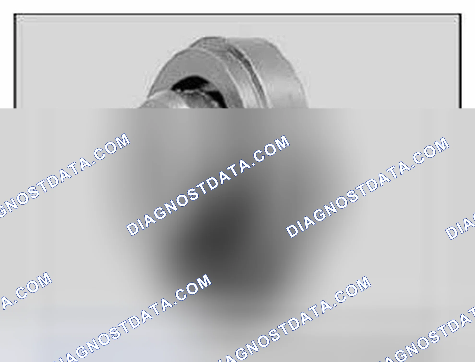 Scheme 383: 24 8 110 Drift