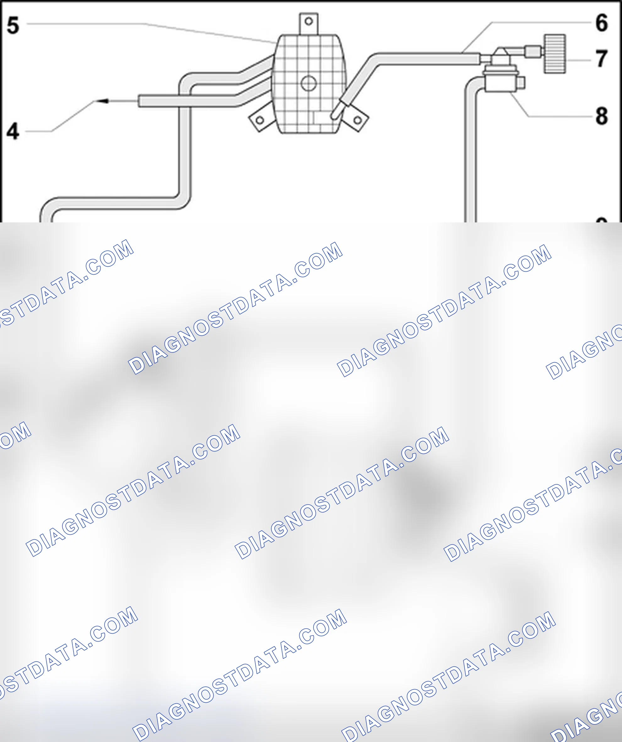 Scheme 587: Hose routing, EVAP canister/leak detection system - 1.8L Turbo engine