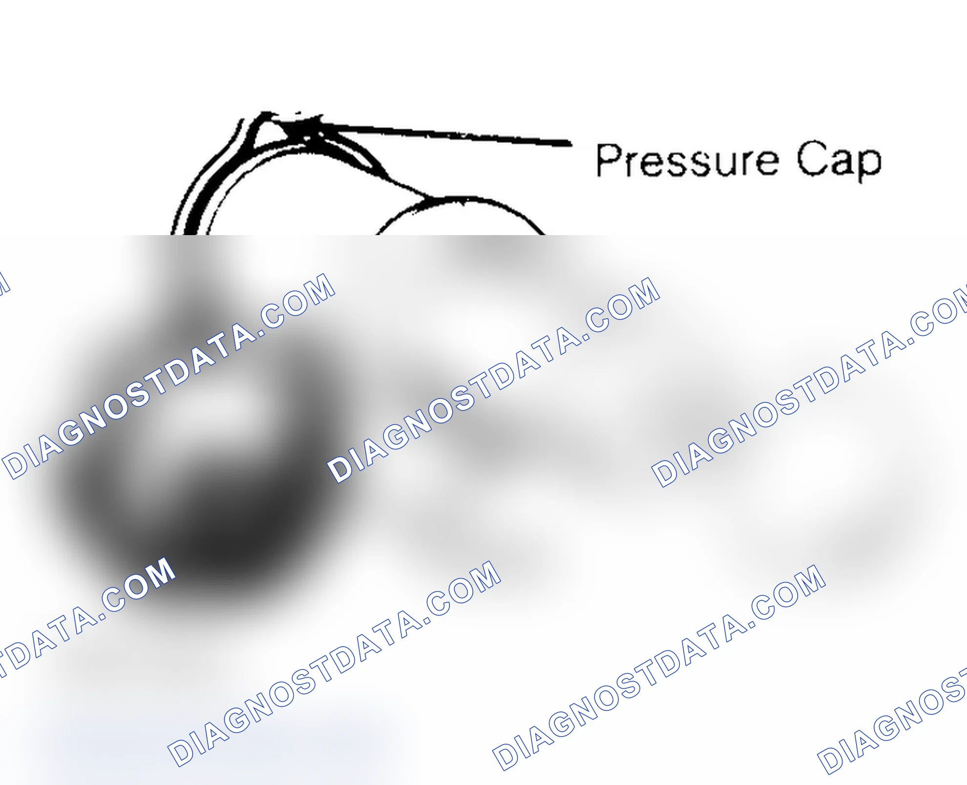 Scheme 2: Pressure Testing Radiator Cap