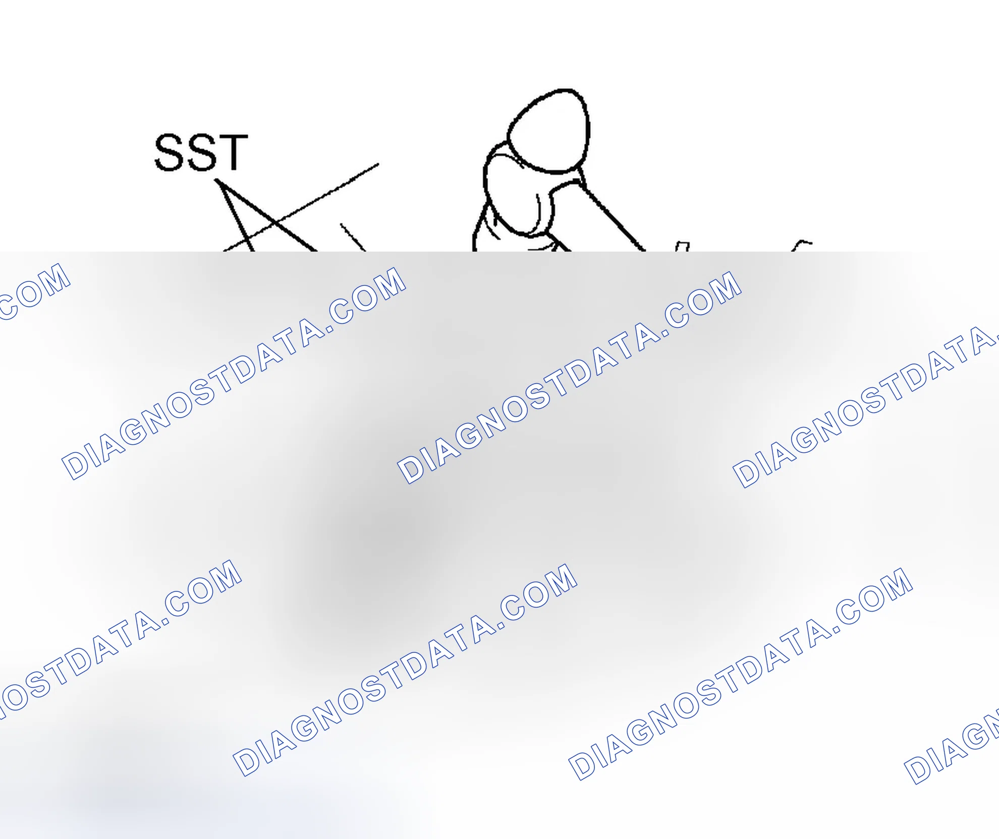 Scheme 113