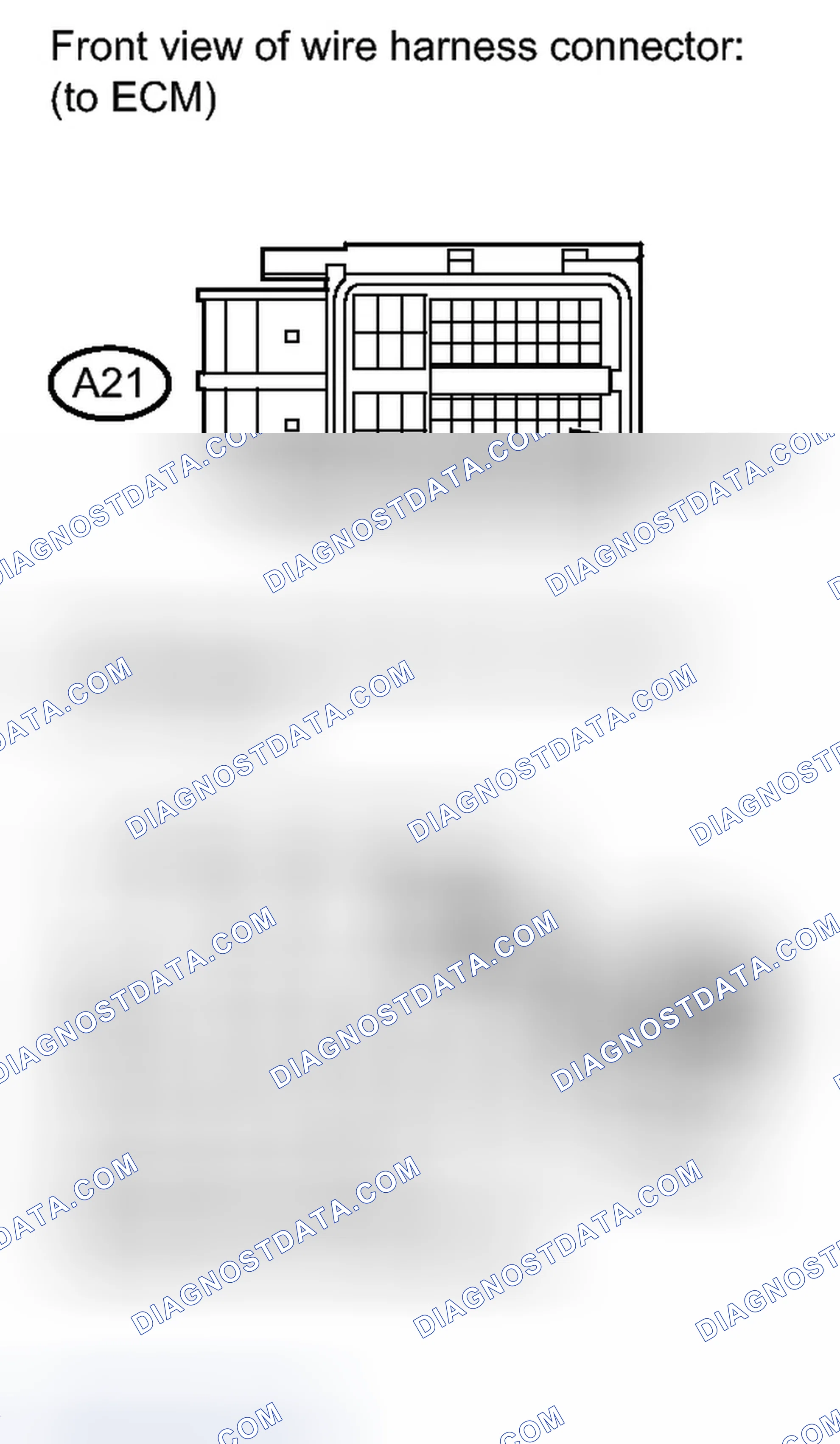 Scheme 343
