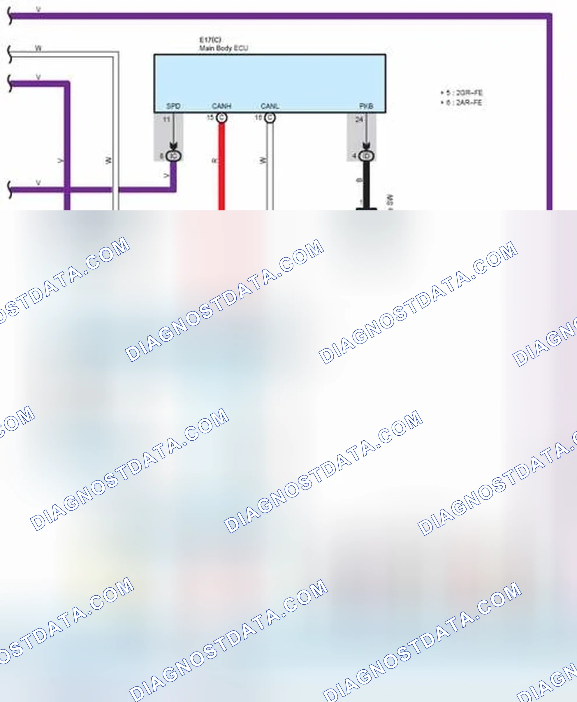 Scheme 243