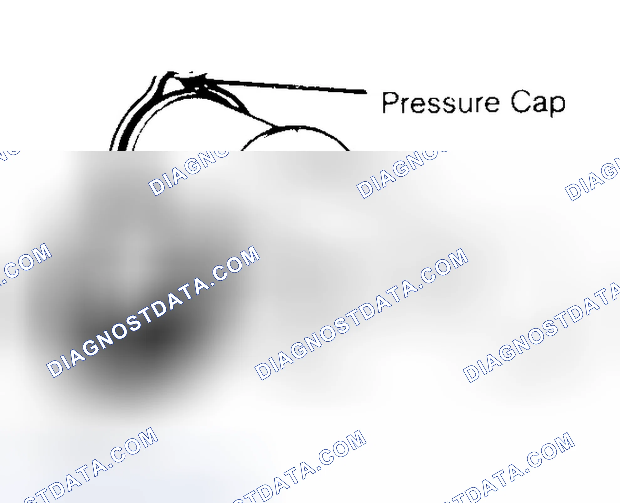 Scheme 2: Pressure Testing Radiator Cap