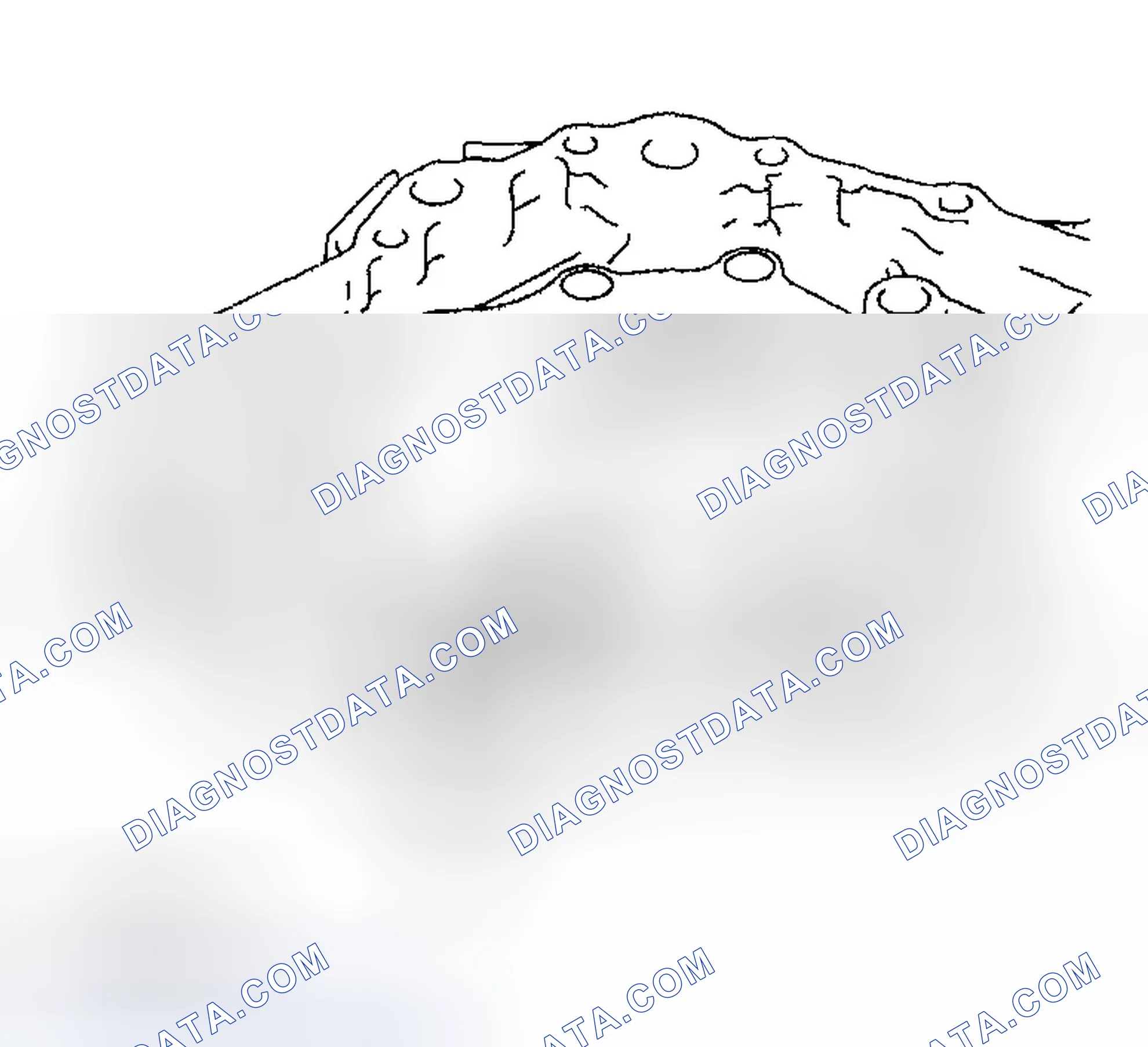 Scheme 30: DISASSEMBLY