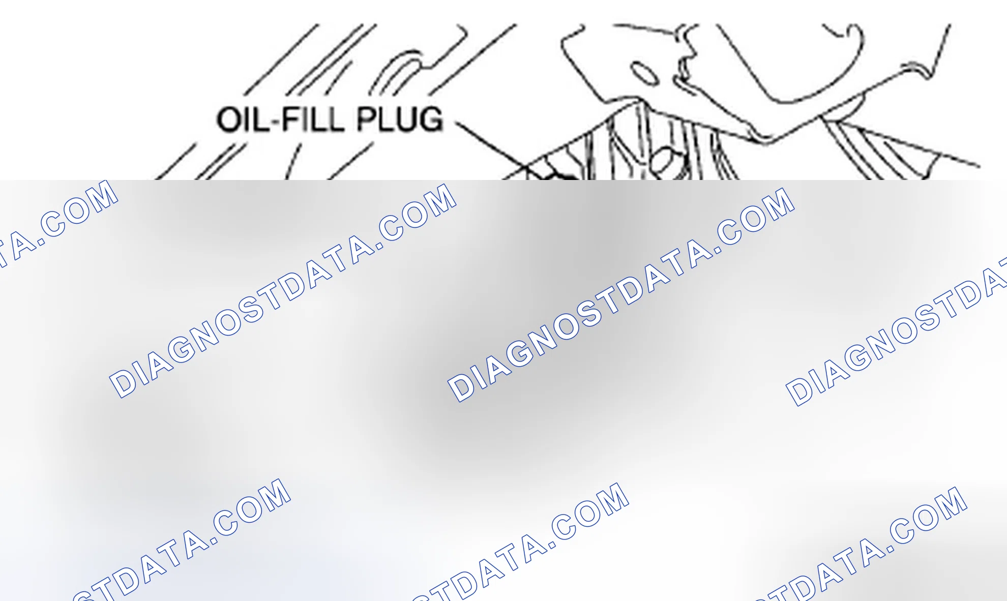 Scheme 3: DIFFERENTIAL OIL REPLACEMENT