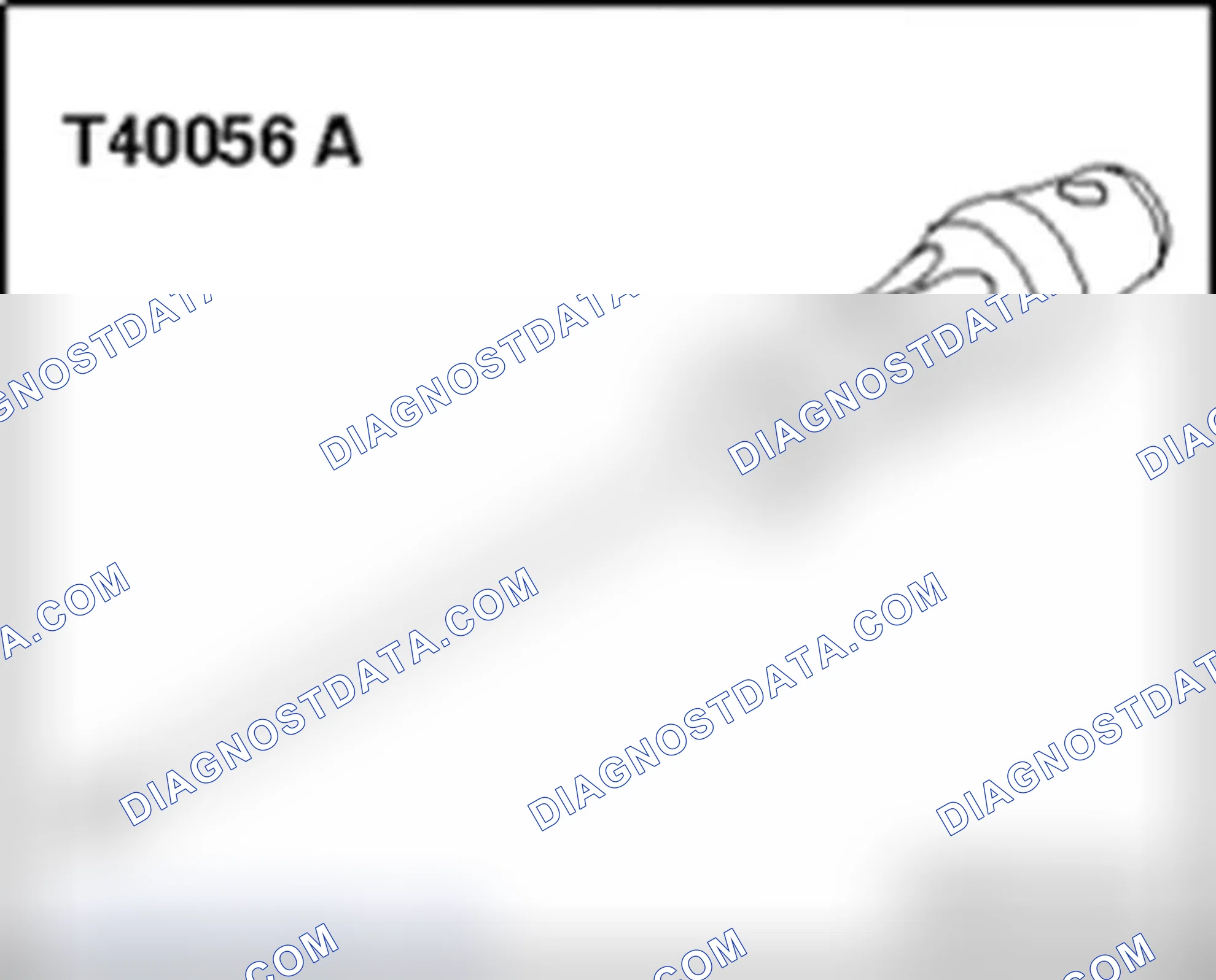 Scheme 325