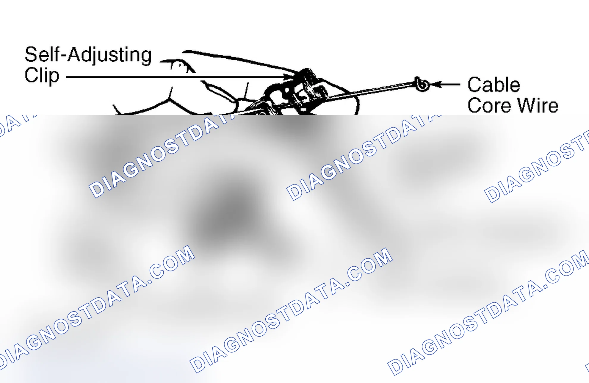 Scheme 5