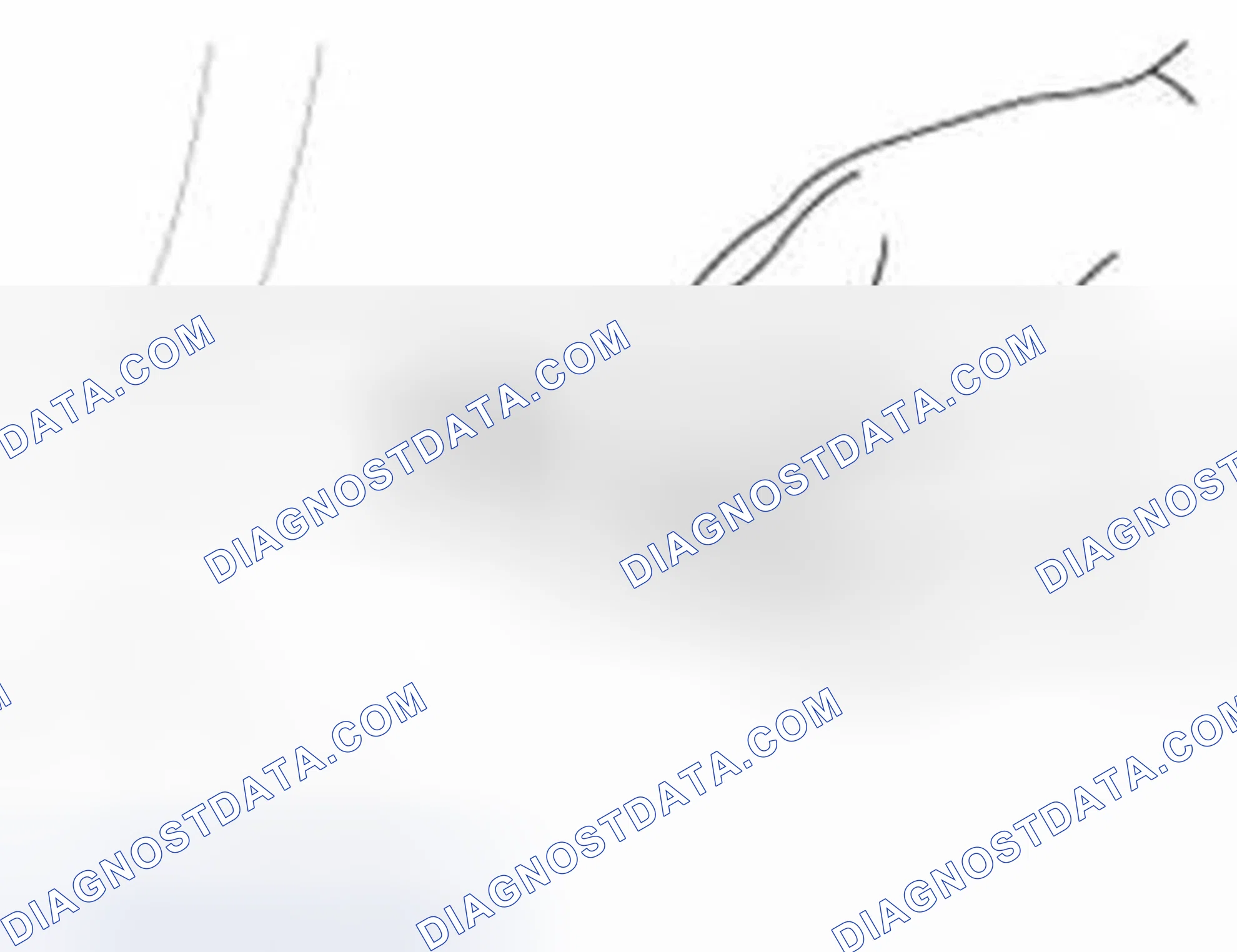 Scheme 6: Inspection