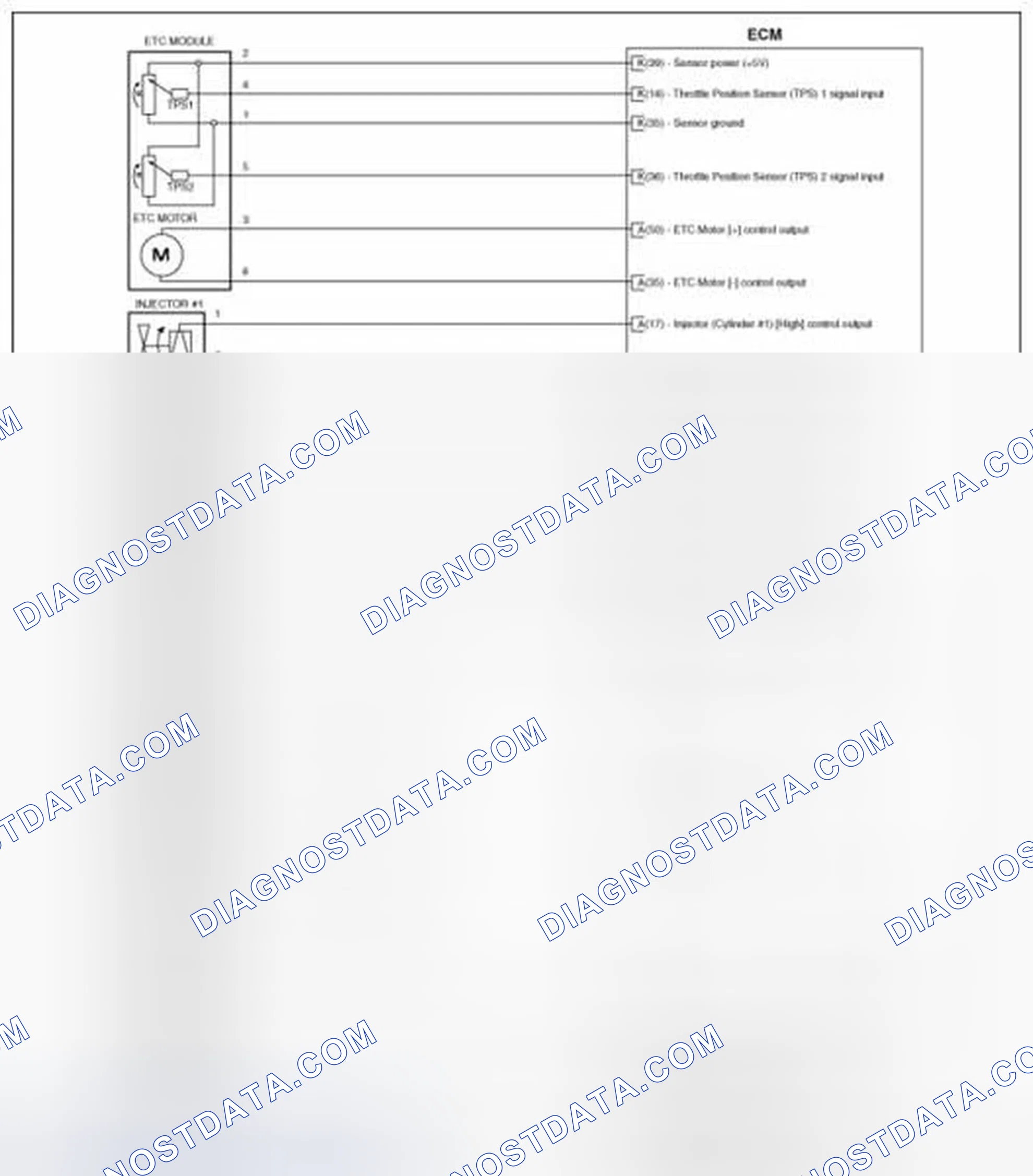 Scheme 146