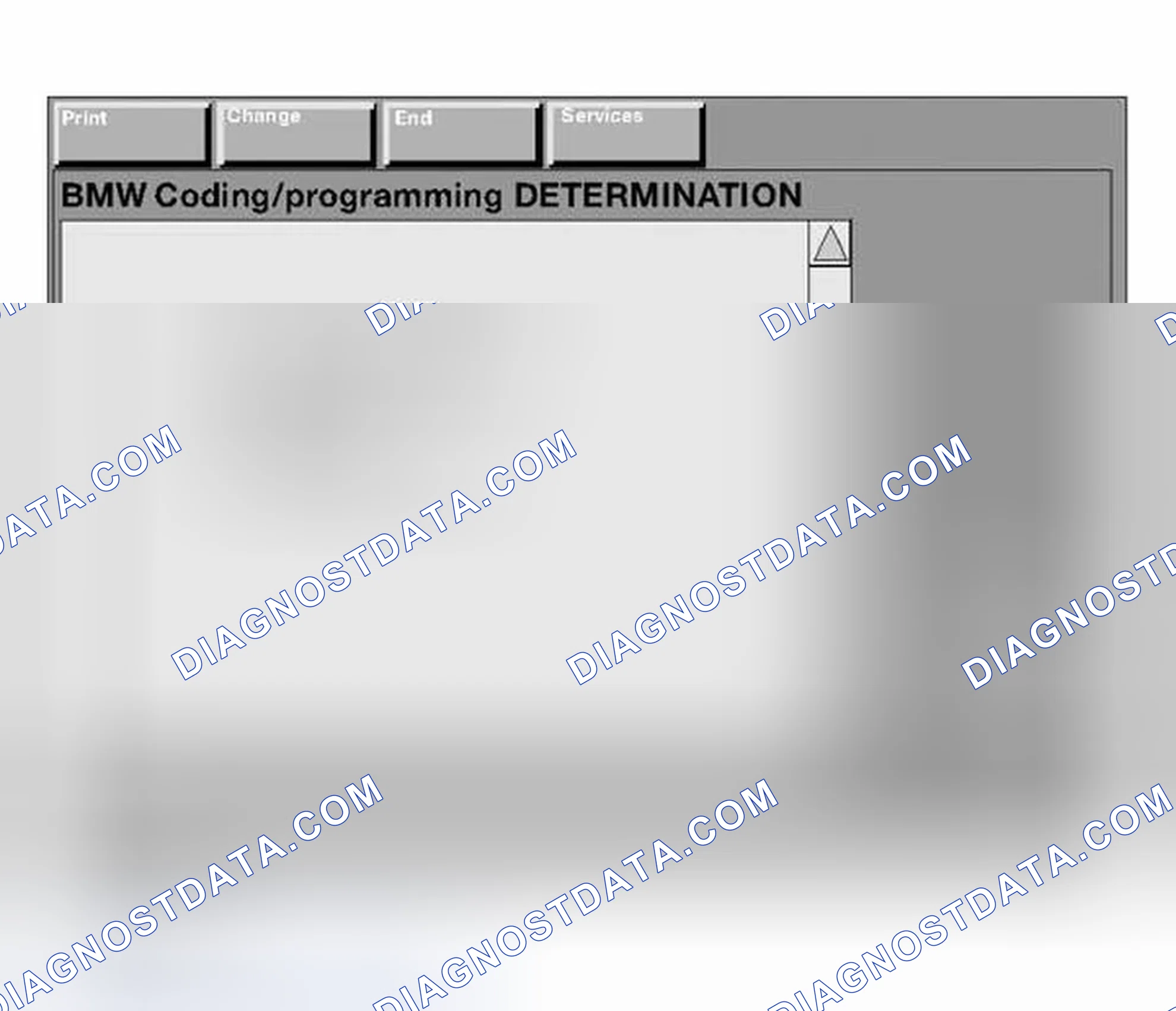 Scheme 206