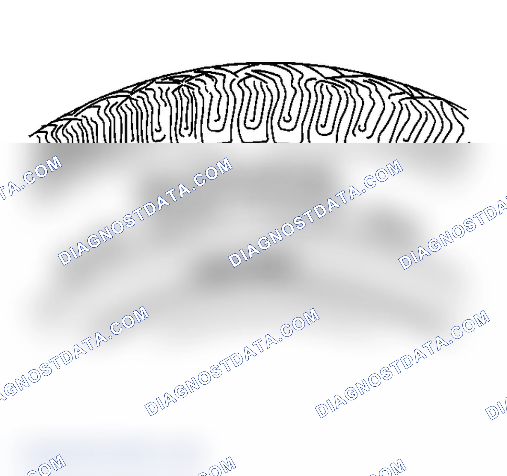Scheme 2: Tire and Wheel Inspection