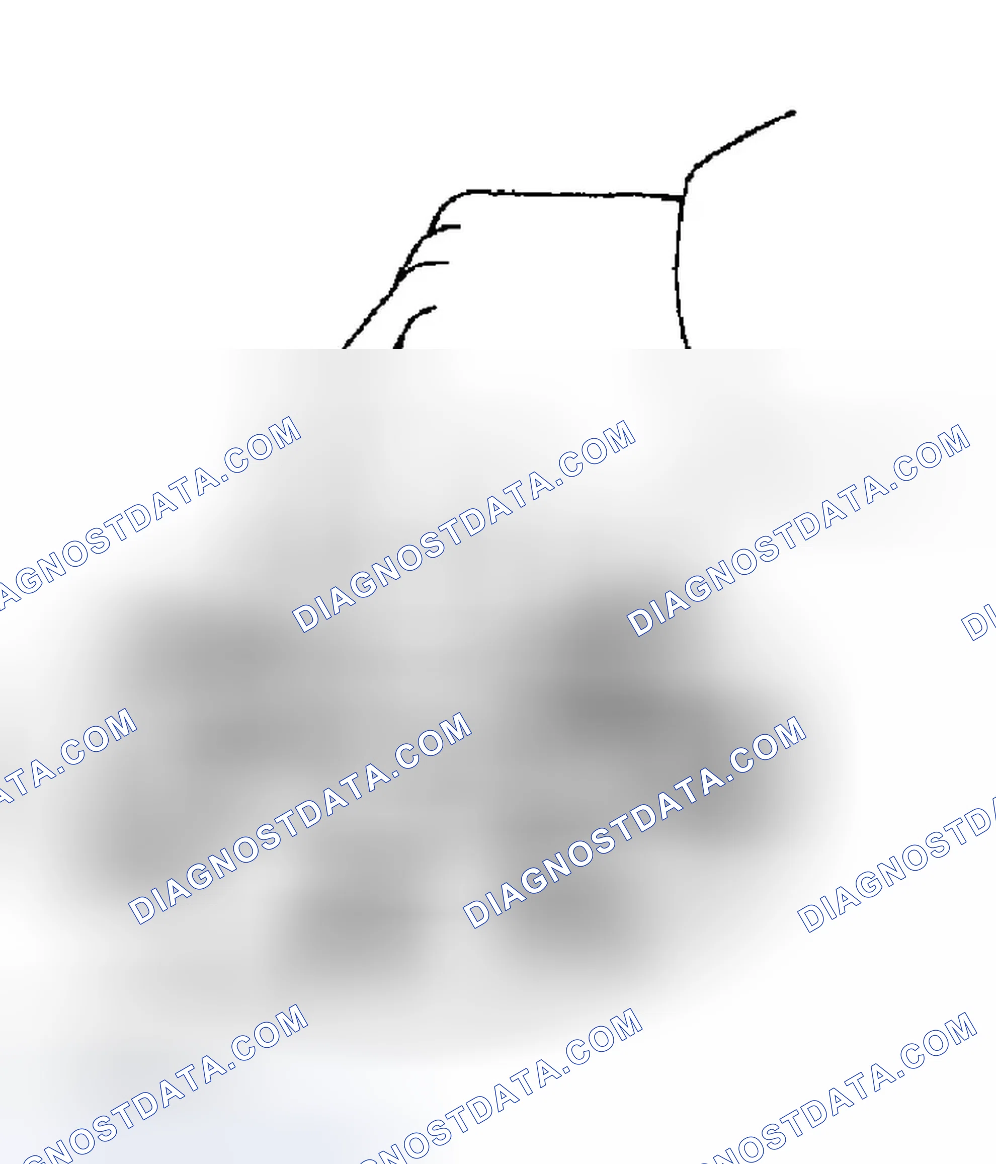 Scheme 84: INSPECTION PROCEDURE