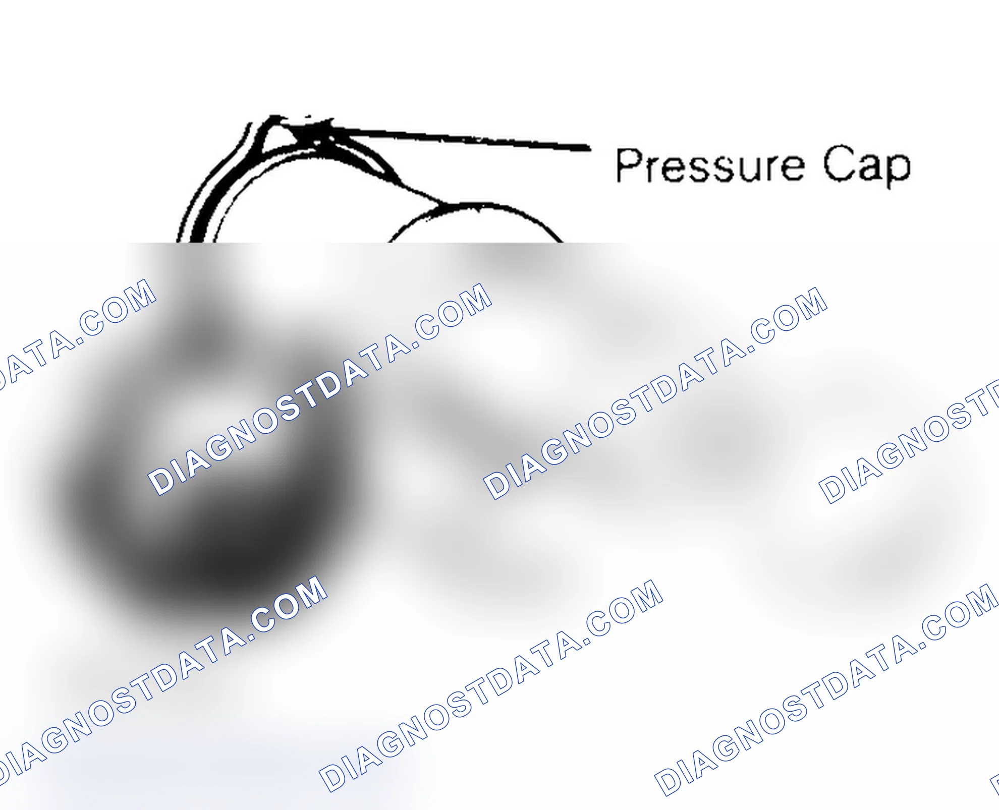 Scheme 2: Pressure Testing Radiator Cap