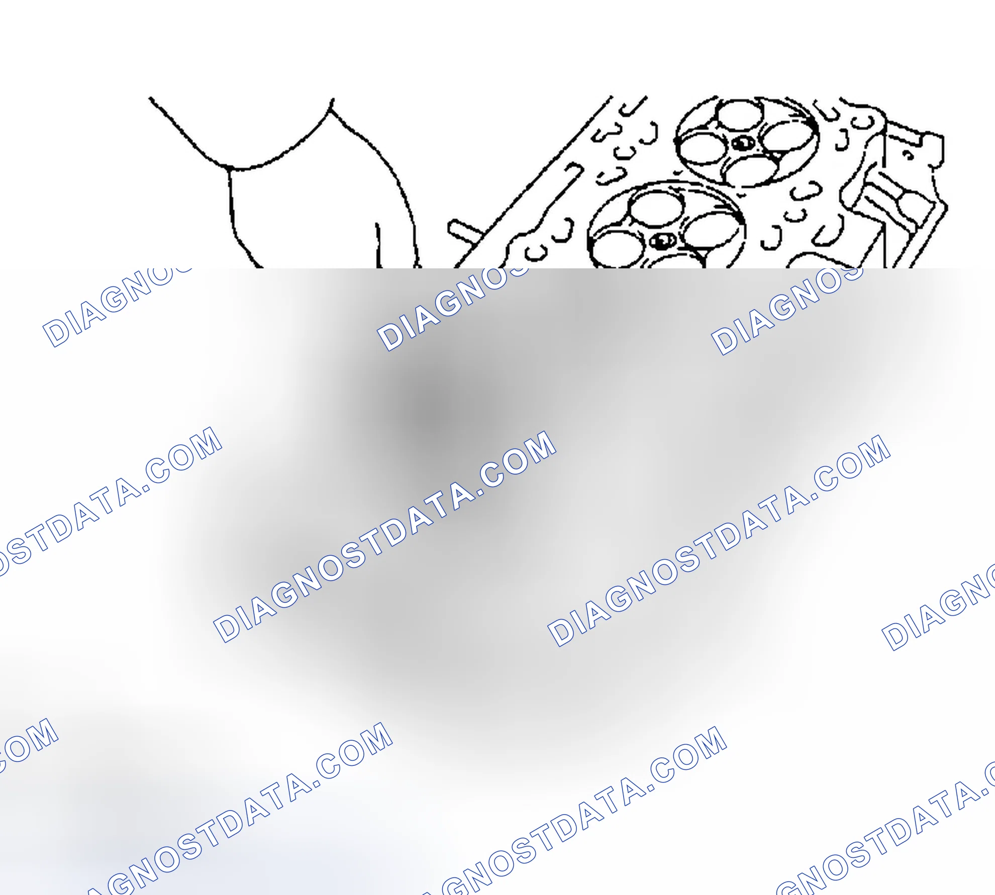 Scheme 123