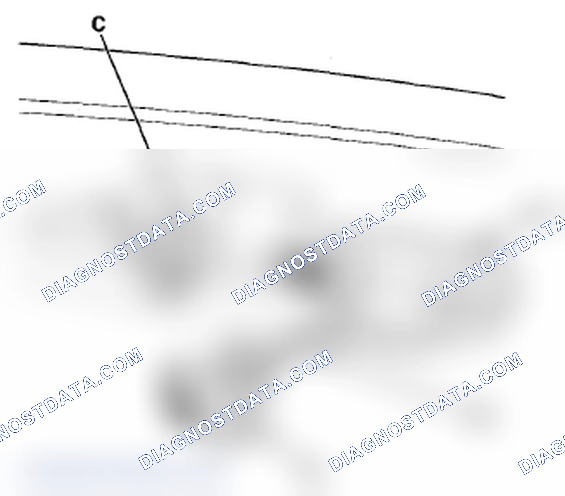 Scheme 59: License Plate Light Replacement