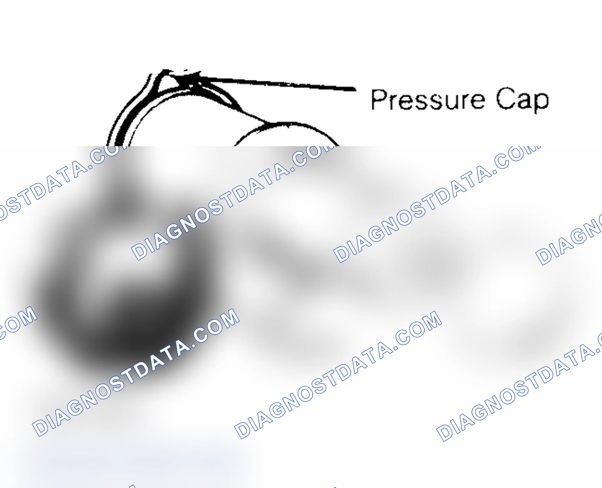 Scheme 2: Pressure Testing Radiator Cap