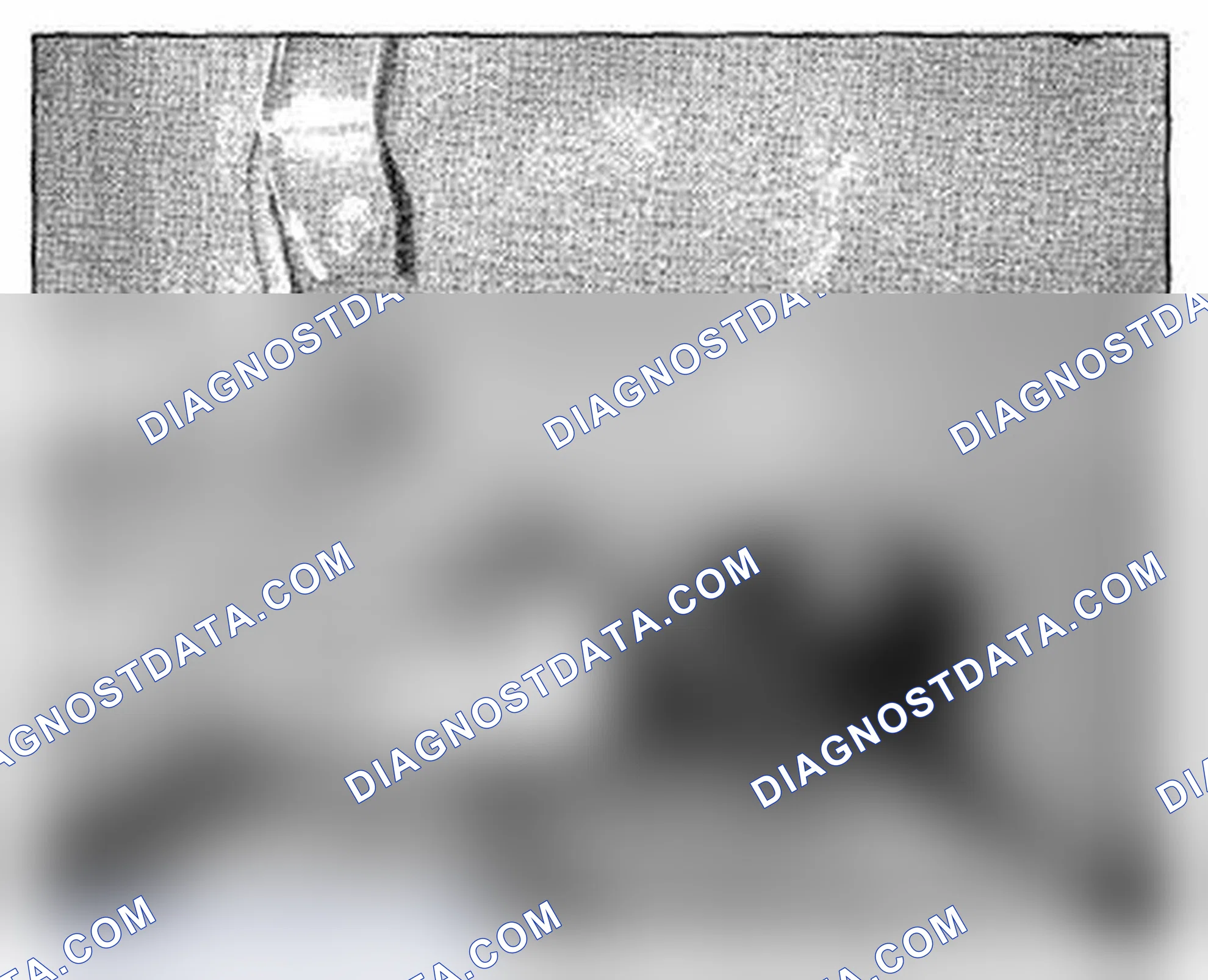 Scheme 614: Left Side Of Cargo Area Component Location - IDS (Photo 209)