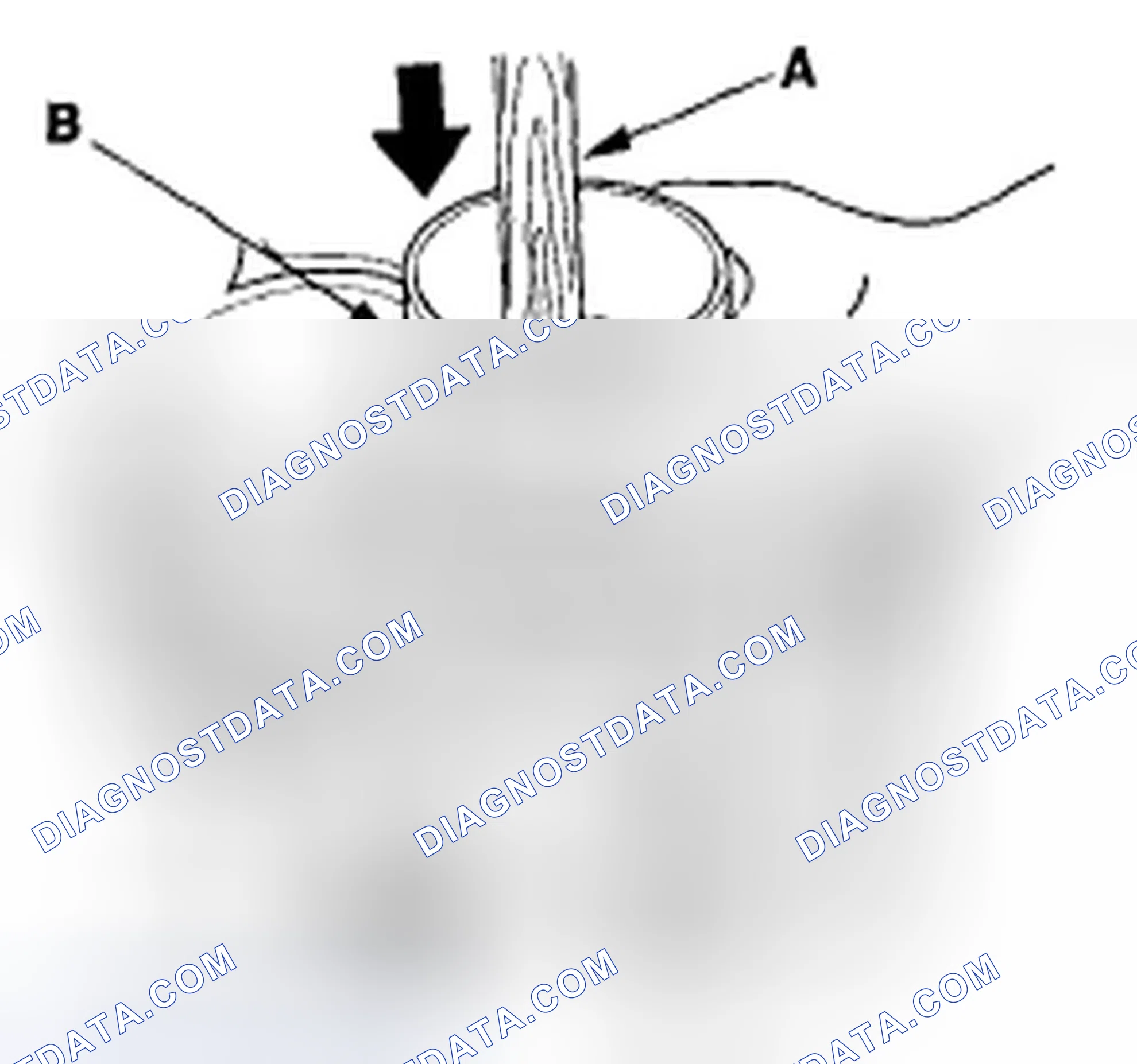 Scheme 333