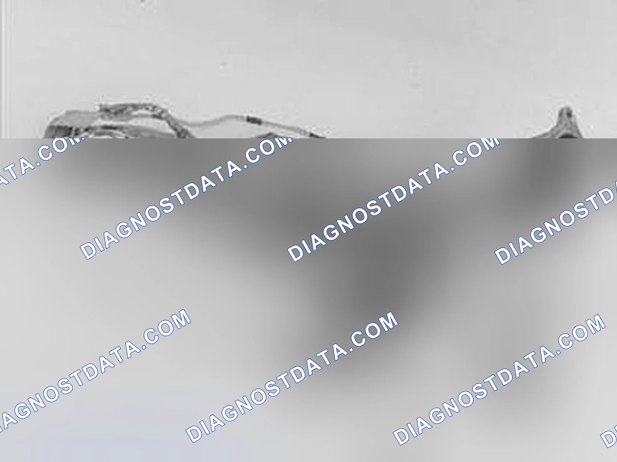 Scheme 10: Installing the Catalytic Converter Unit With the Heat Deflector Plate