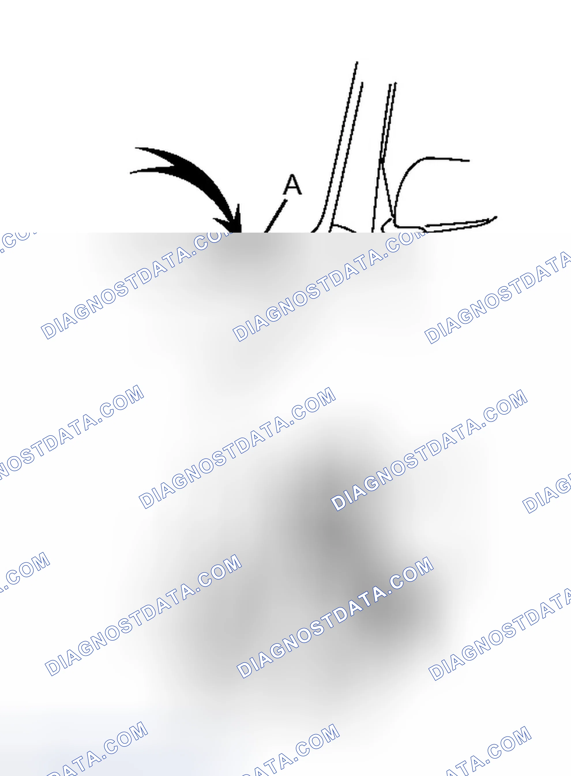 Scheme 2: VEHICLE IDENTIFICATION AND SERIAL NUMBERS