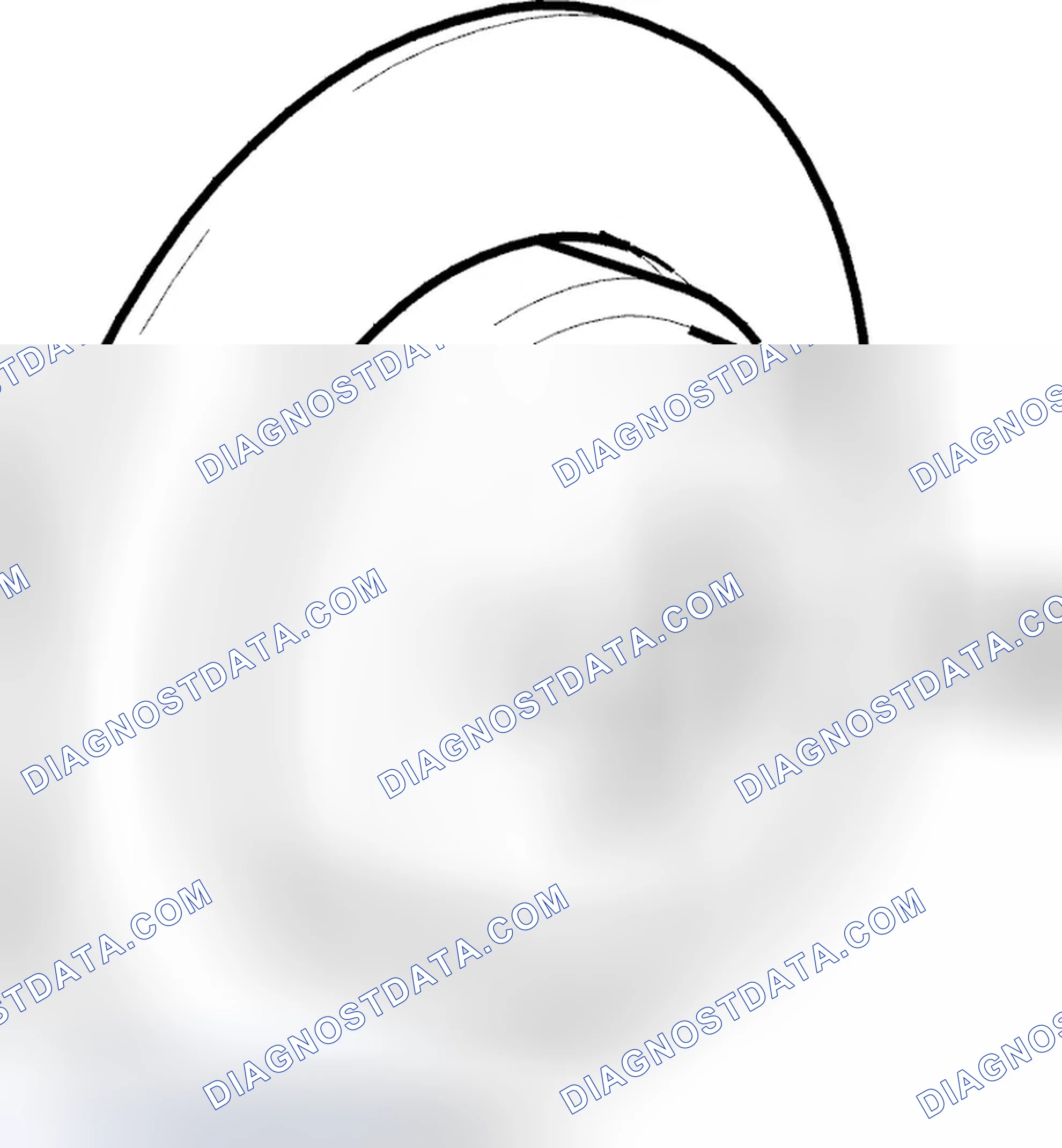 Scheme 107: Diagnostic trouble code (DTC) information