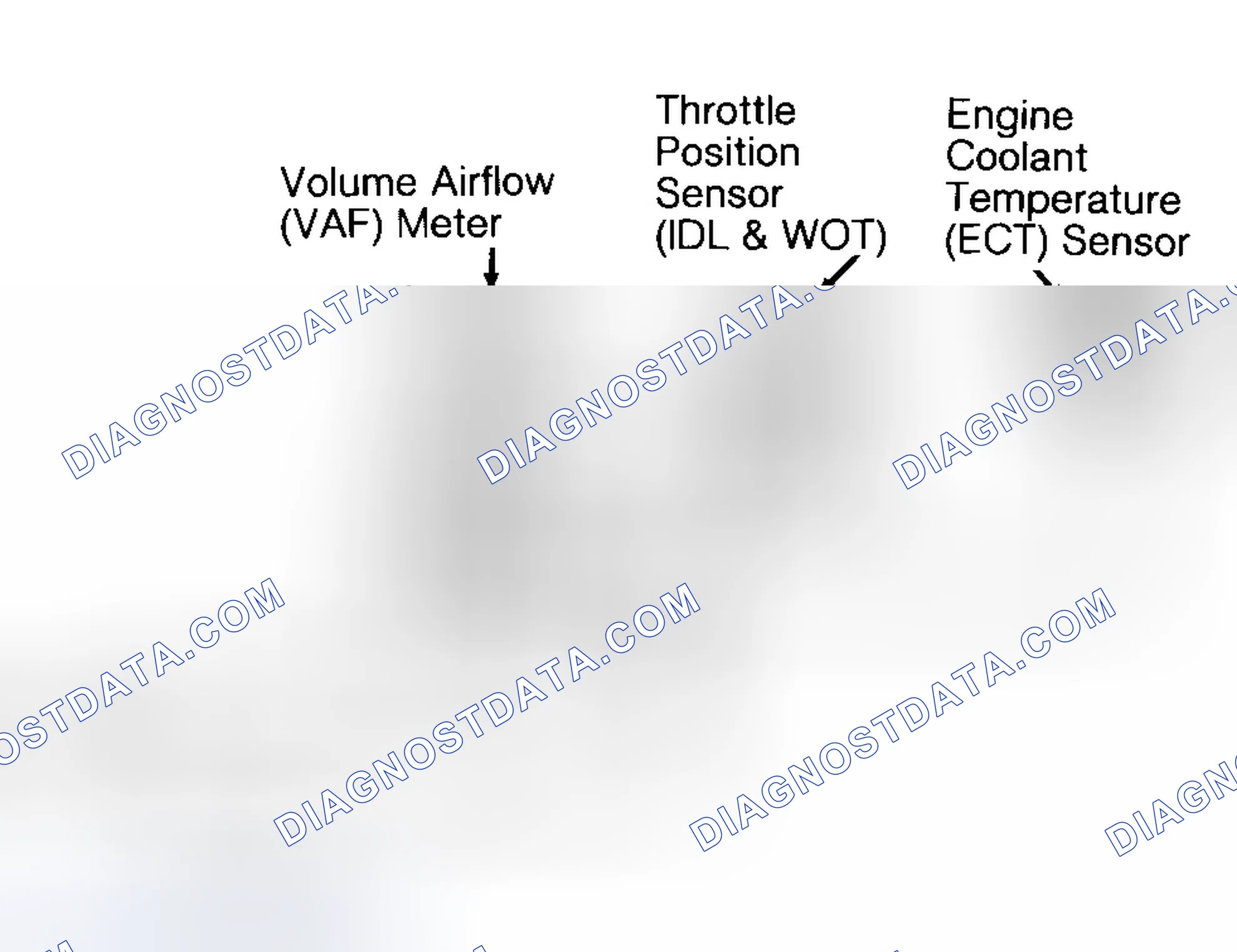 Scheme 178: Identifying VREF Connector Terminals (1.8L M/T)