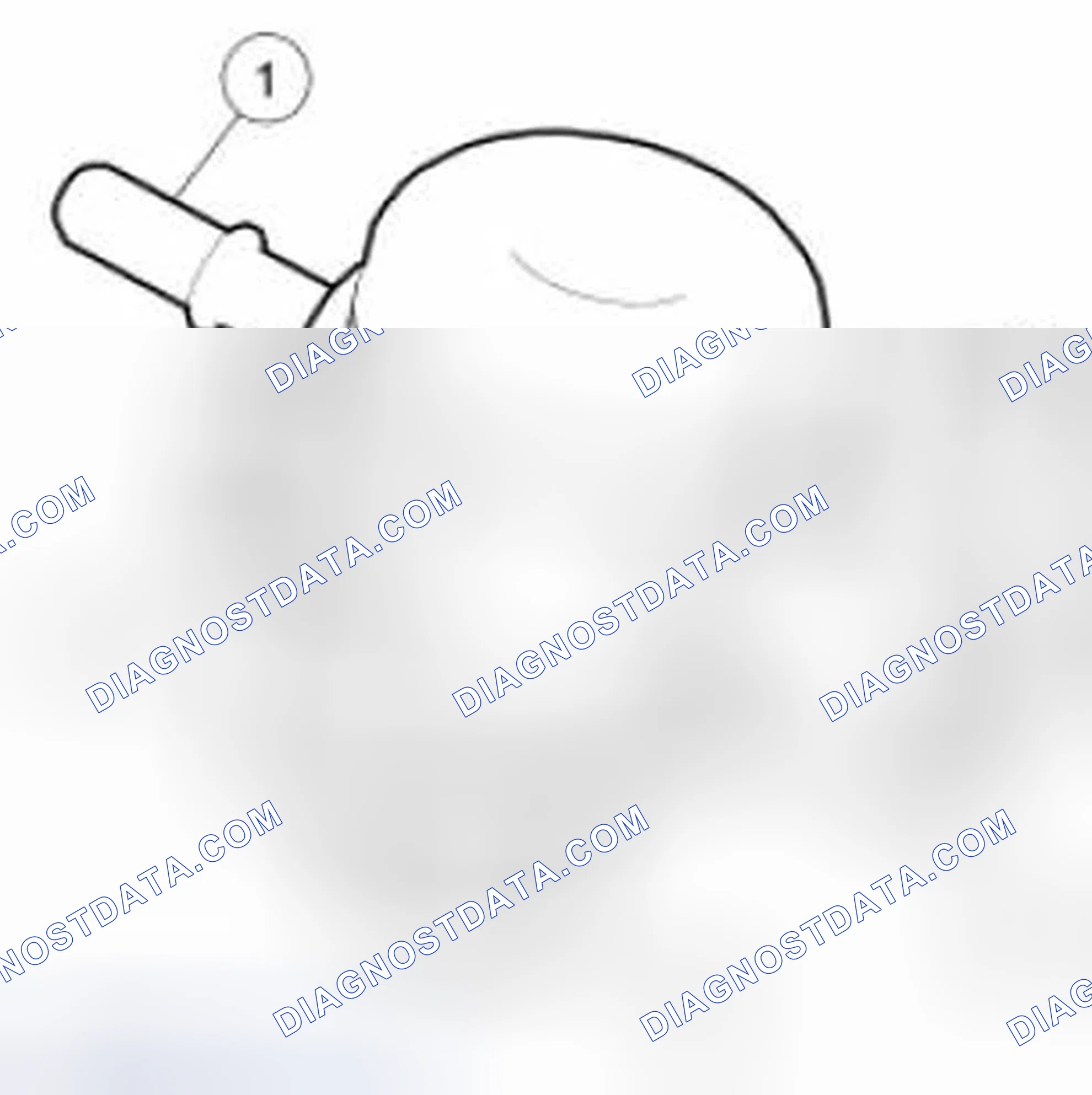 Scheme 58: Fuel Injection Pump