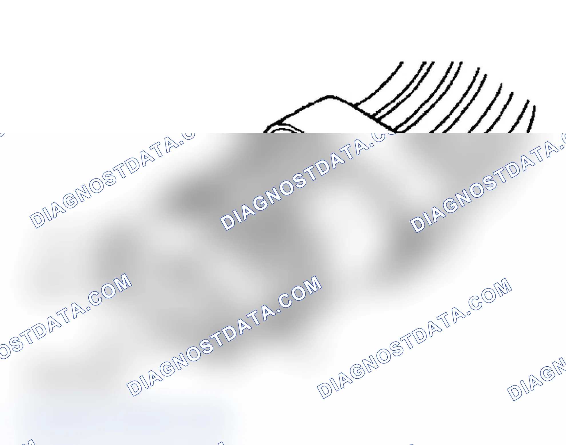 Scheme 32: IDENTIFYING TRANSMISSION RANGE SENSOR CONNECTOR TERMINALS (4-SPEED A/T)