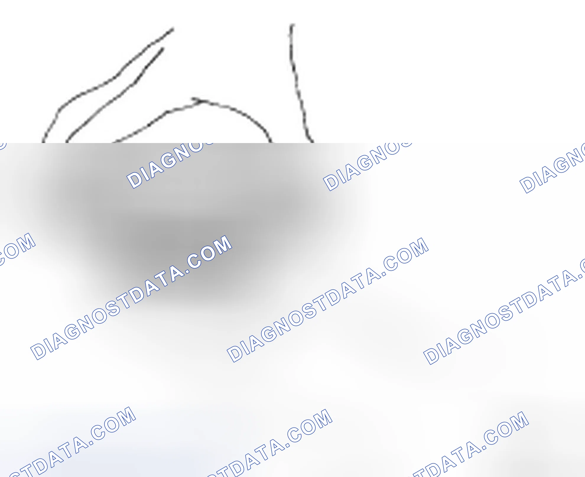 Fig. 21: Inspecting Fan Coupling