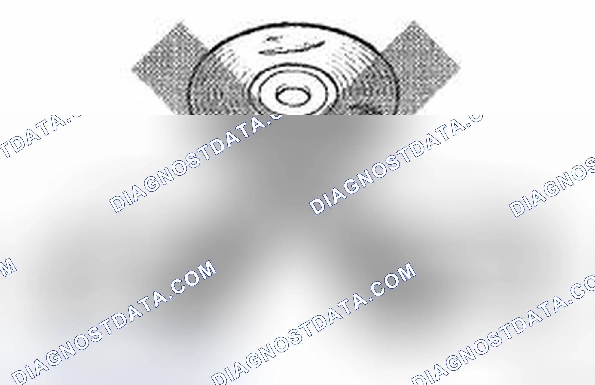 Scheme 71: INSPECTION PROCEDURE