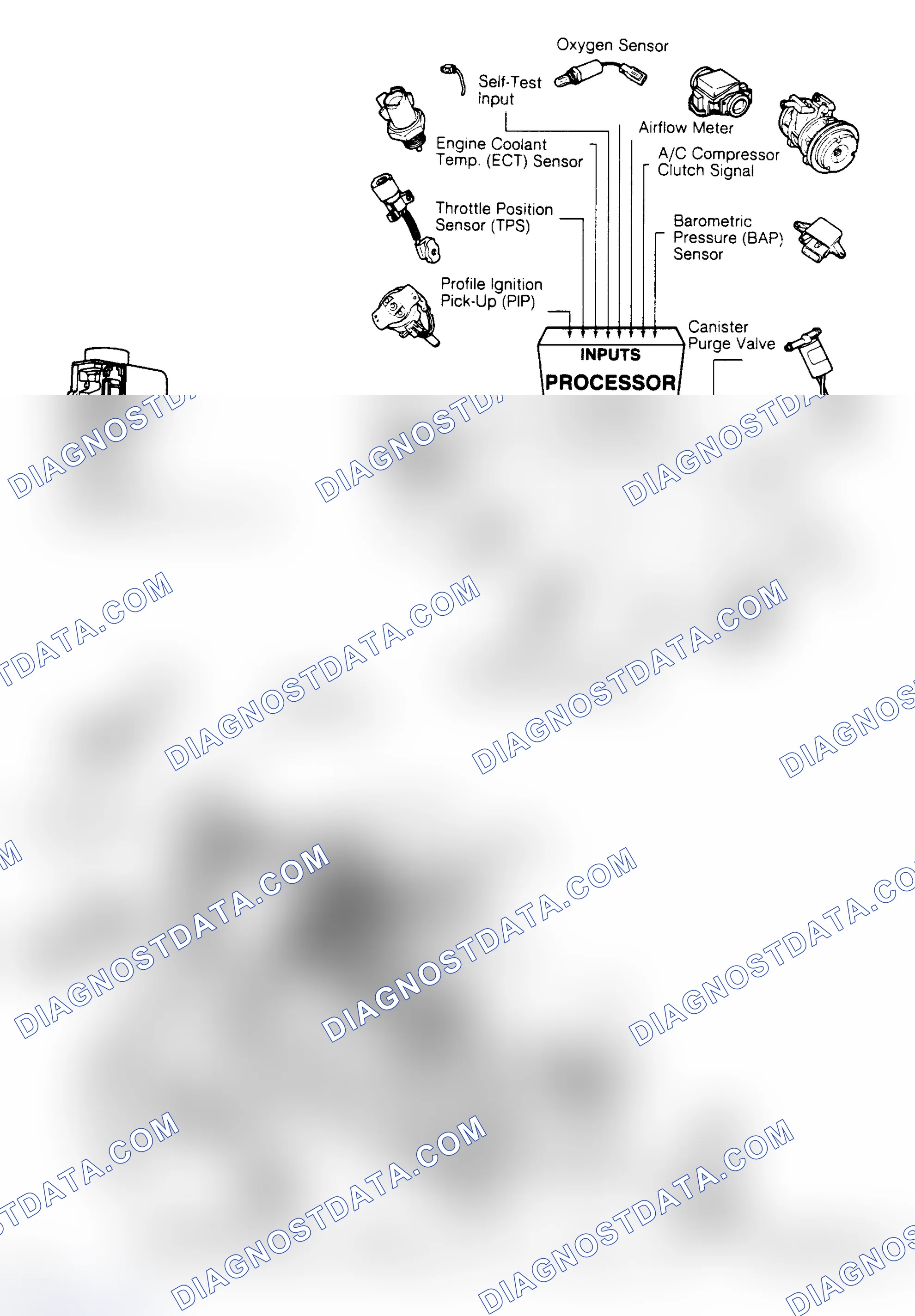 Scheme 55: 1.6L EFI/Turbo EEC-IV Inputs/Outputs & Component Locations