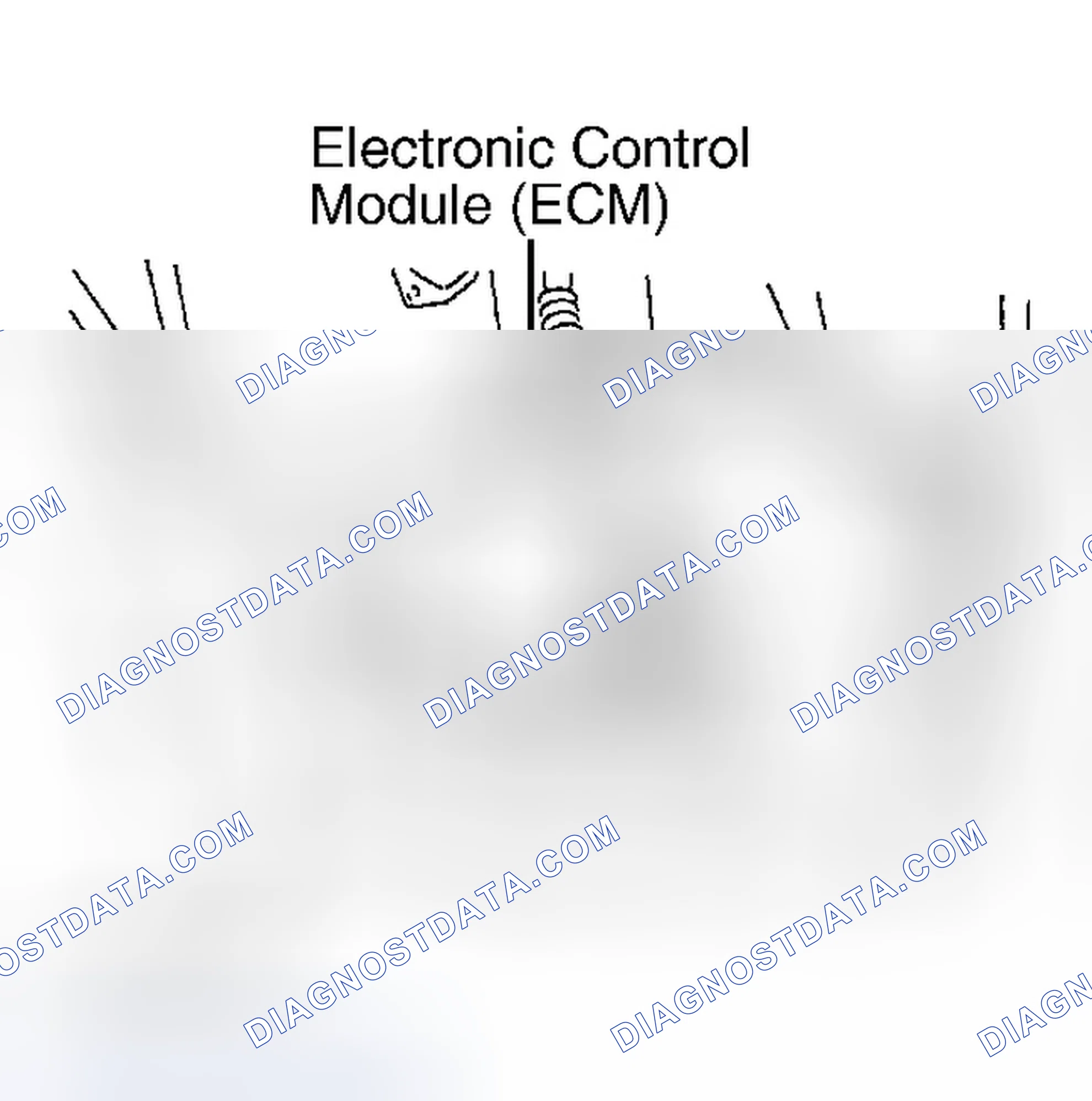 Scheme 13: ECM LOCATION