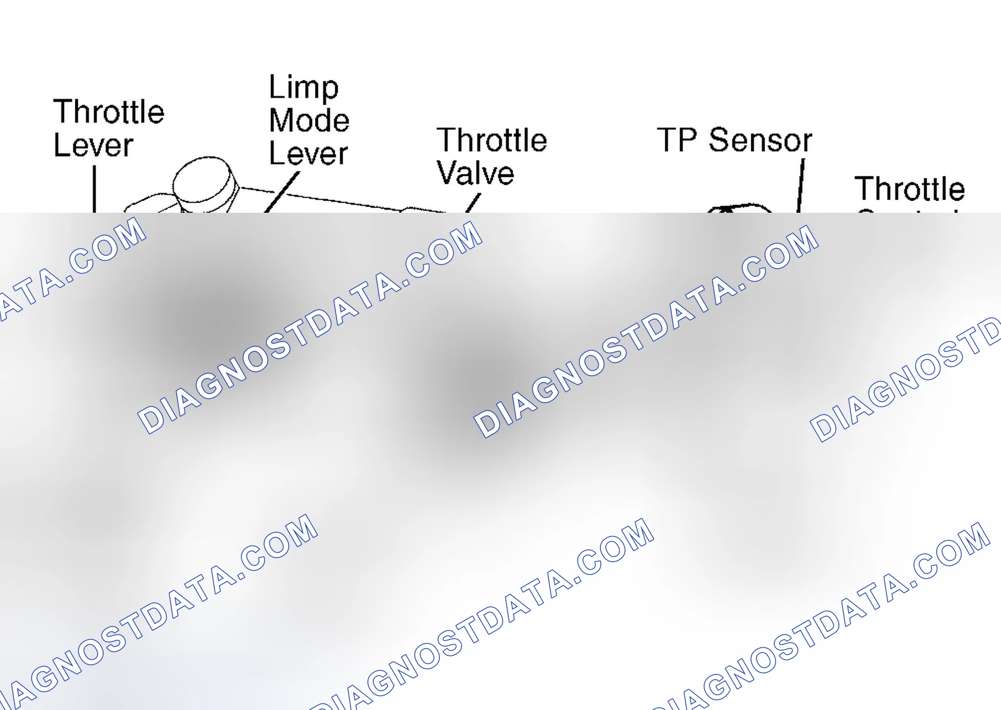 Scheme 14: Tacoma 3.4L V6 (W/ETCS) & Tundra 3.4L V6