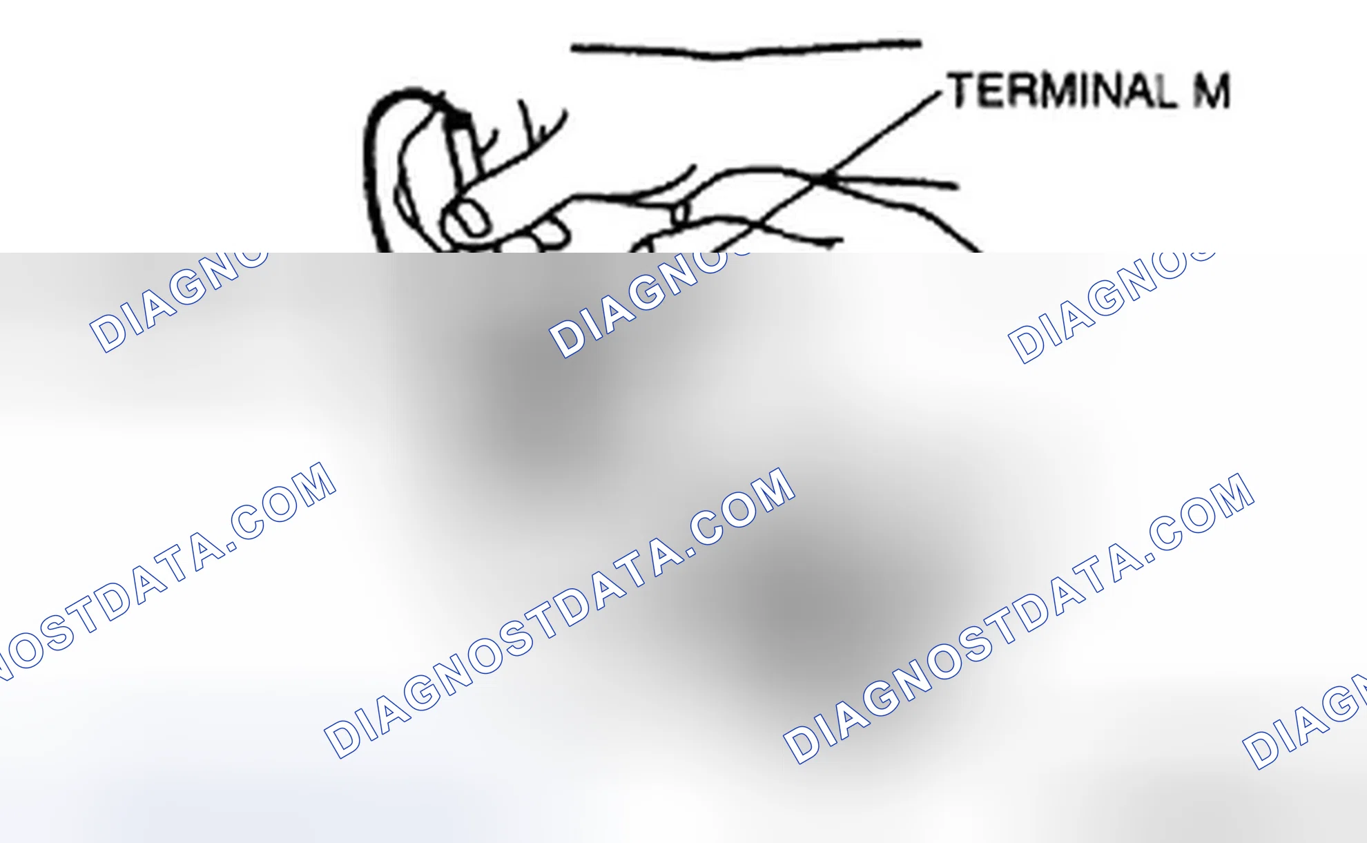 Scheme 13