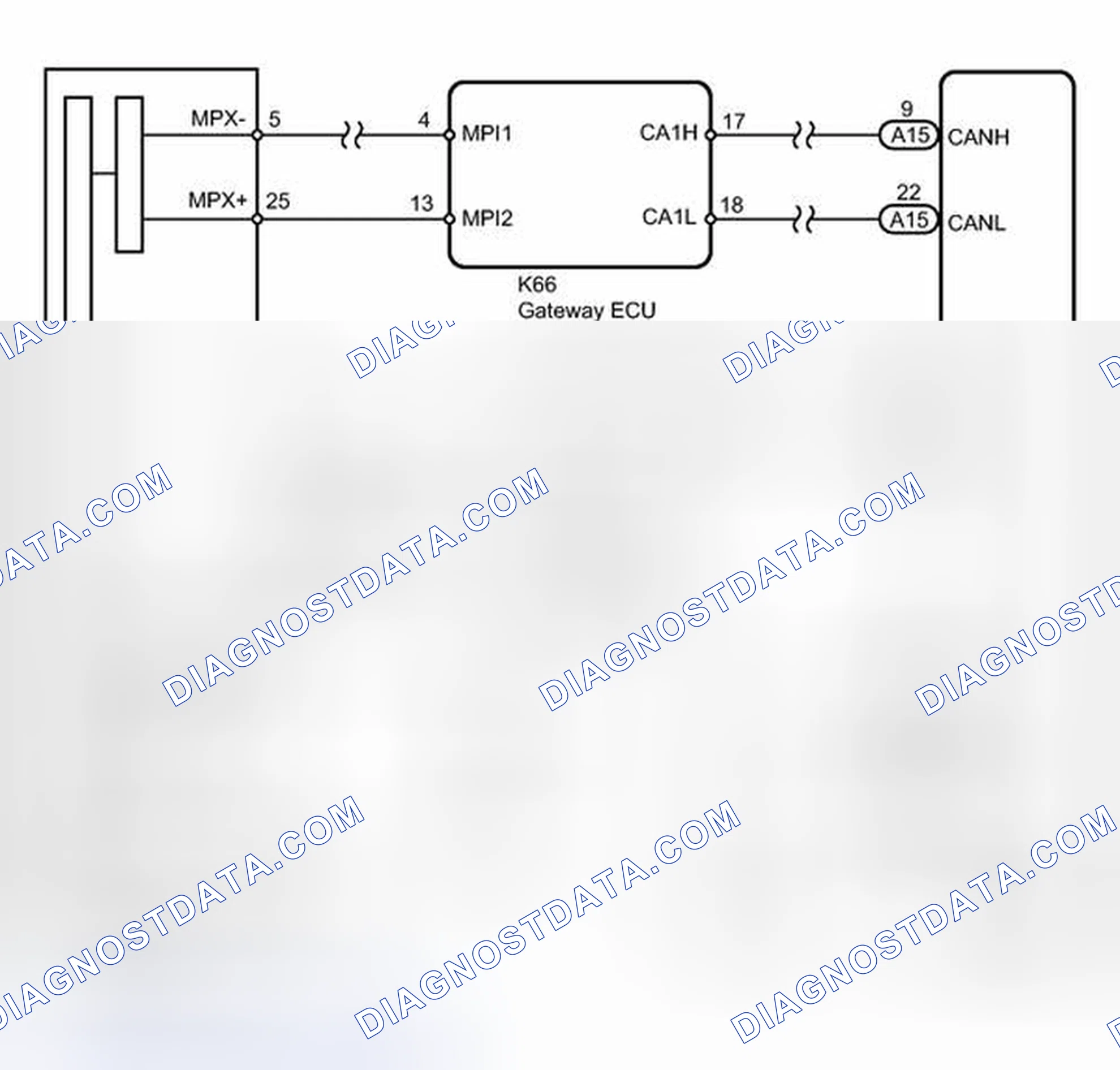Scheme 148: WIRING DIAGRAM